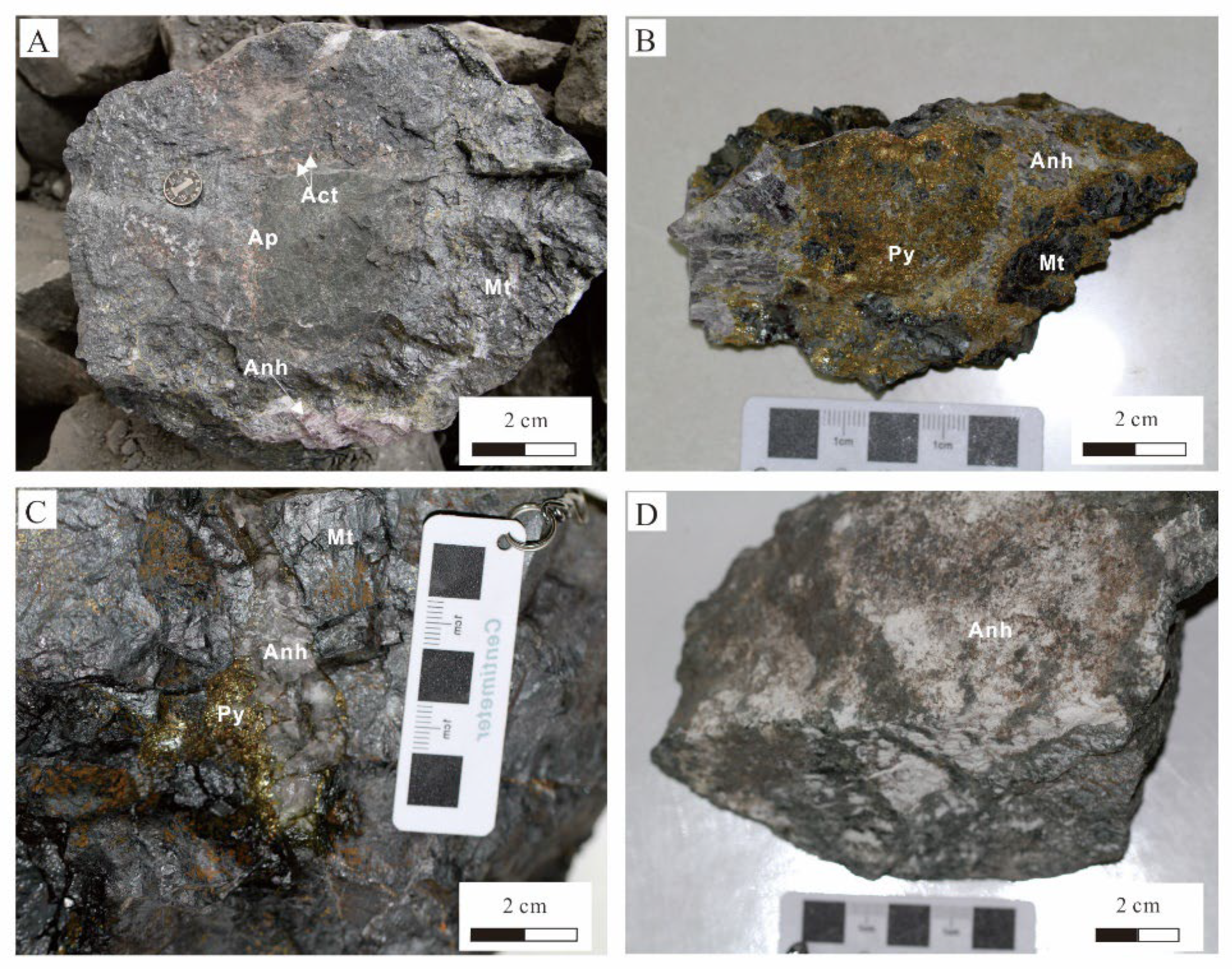 Hand samples of; (a) salt rock, (b) iron oxide, (c) rhyolite, (d)