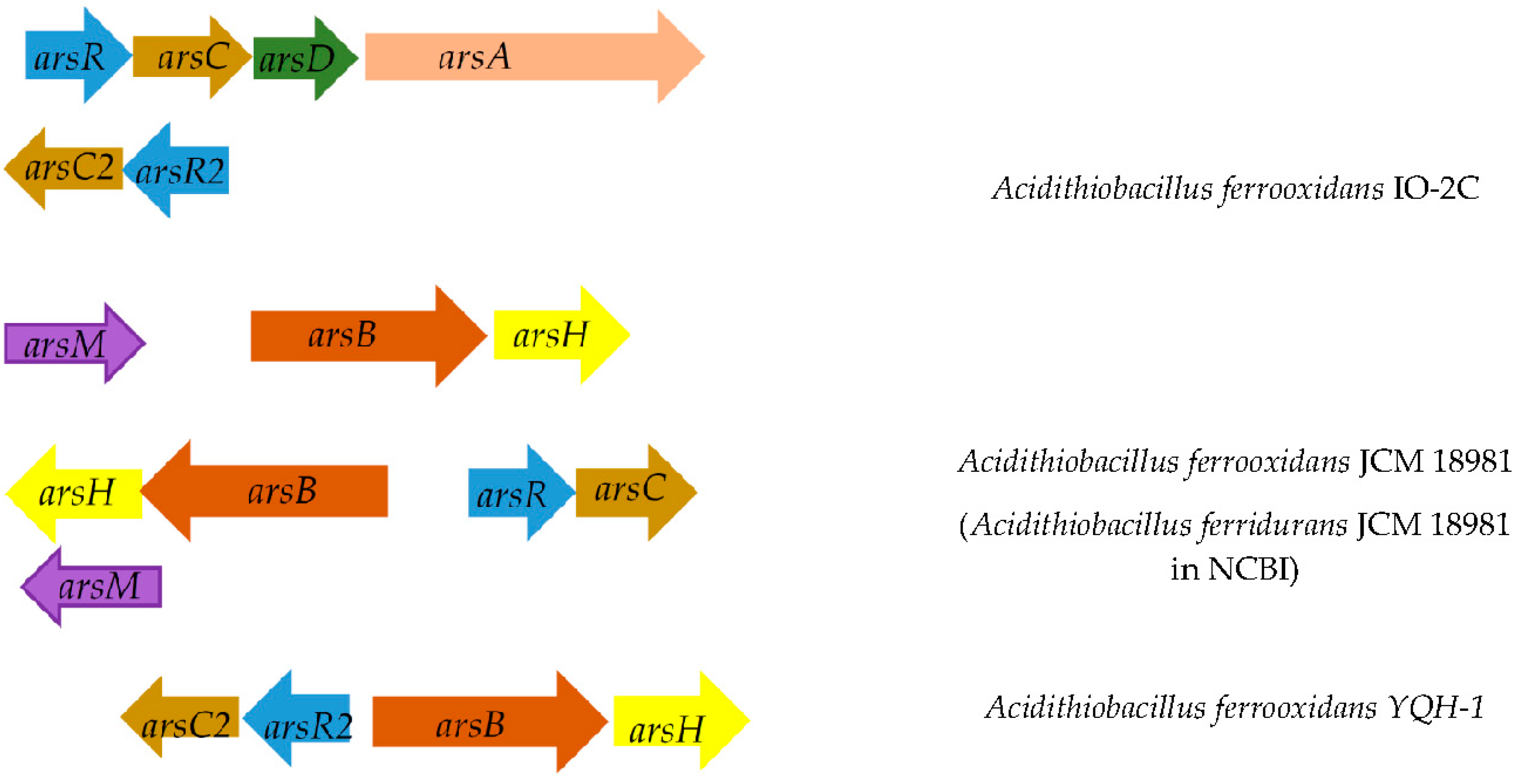 Minerals 12 01051 g002b