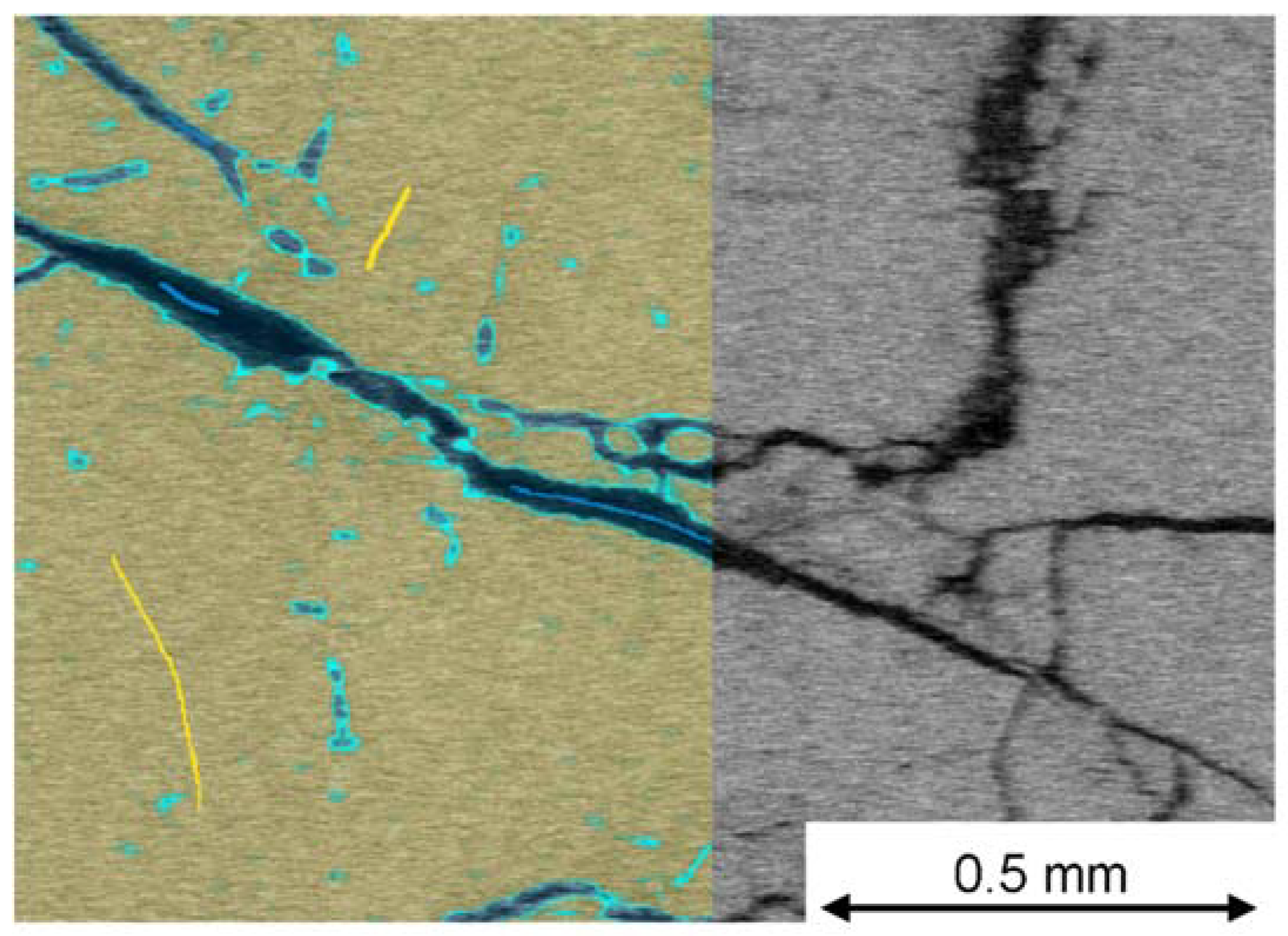 Minerals 12 01197 g002