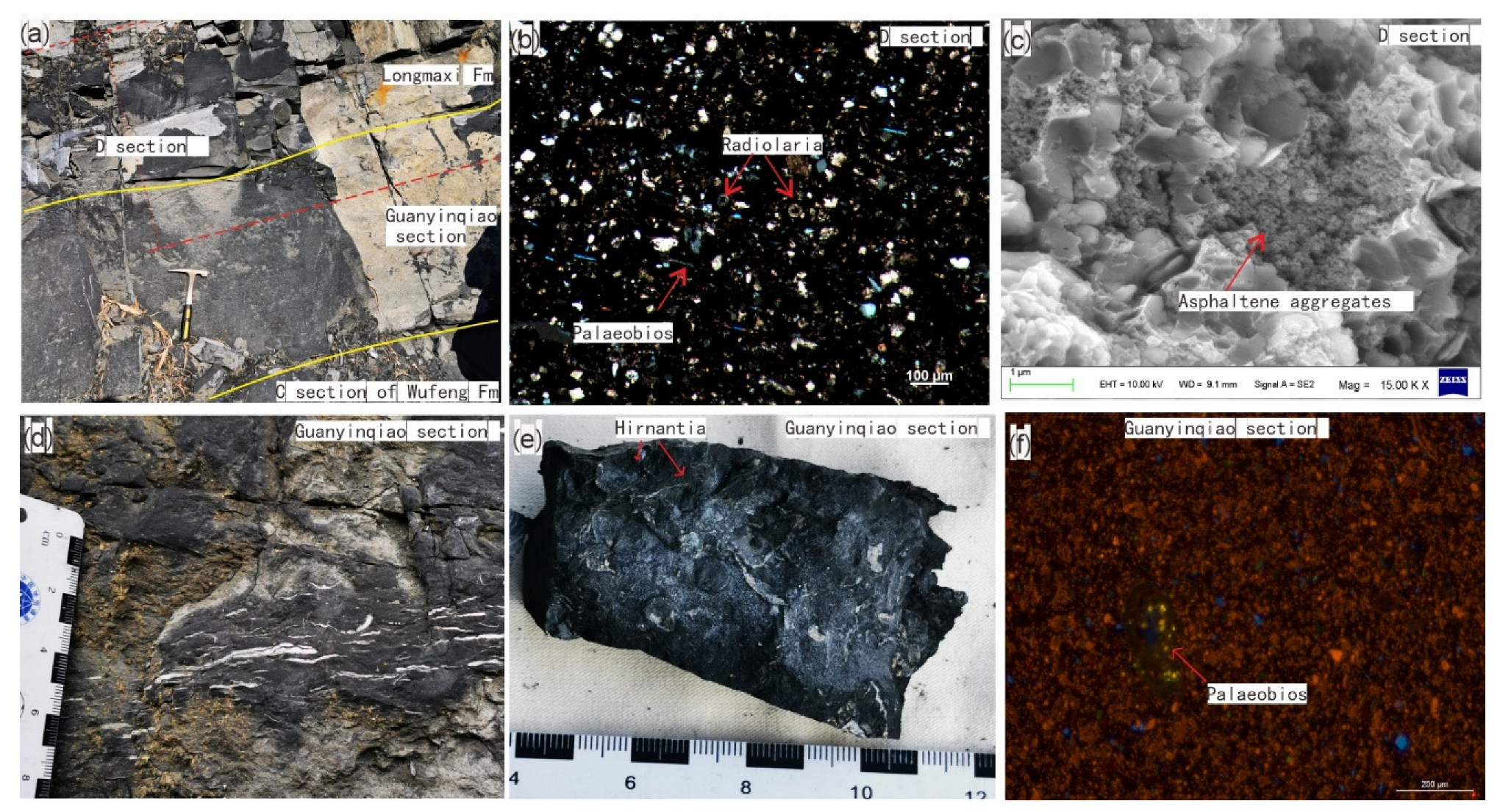 Minerals 12 01363 g003