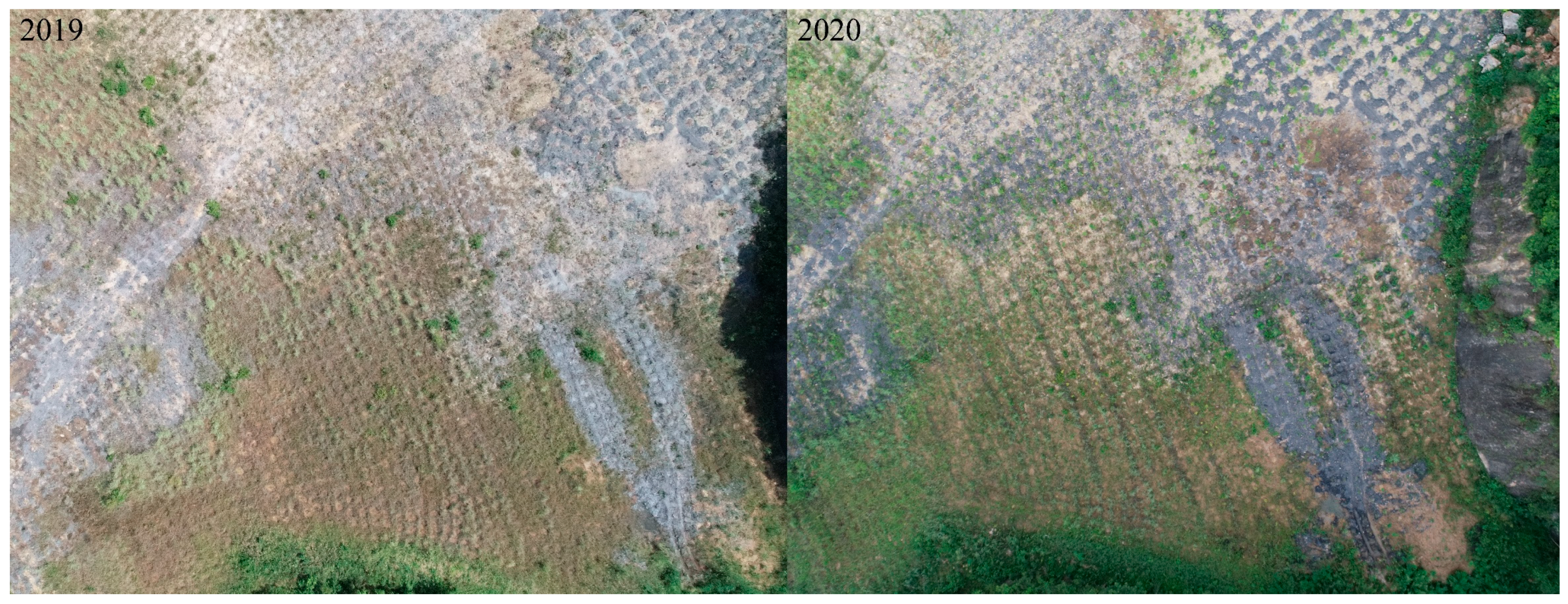 Minerals 12 01366 g006