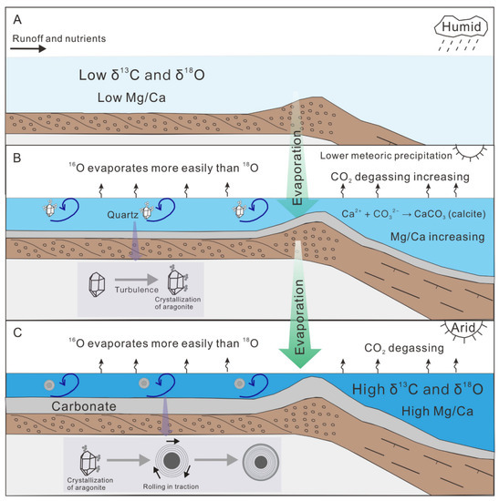 Minerals | Free Full-Text | Holocene Lacustrine Abiotic Aragonitic ...