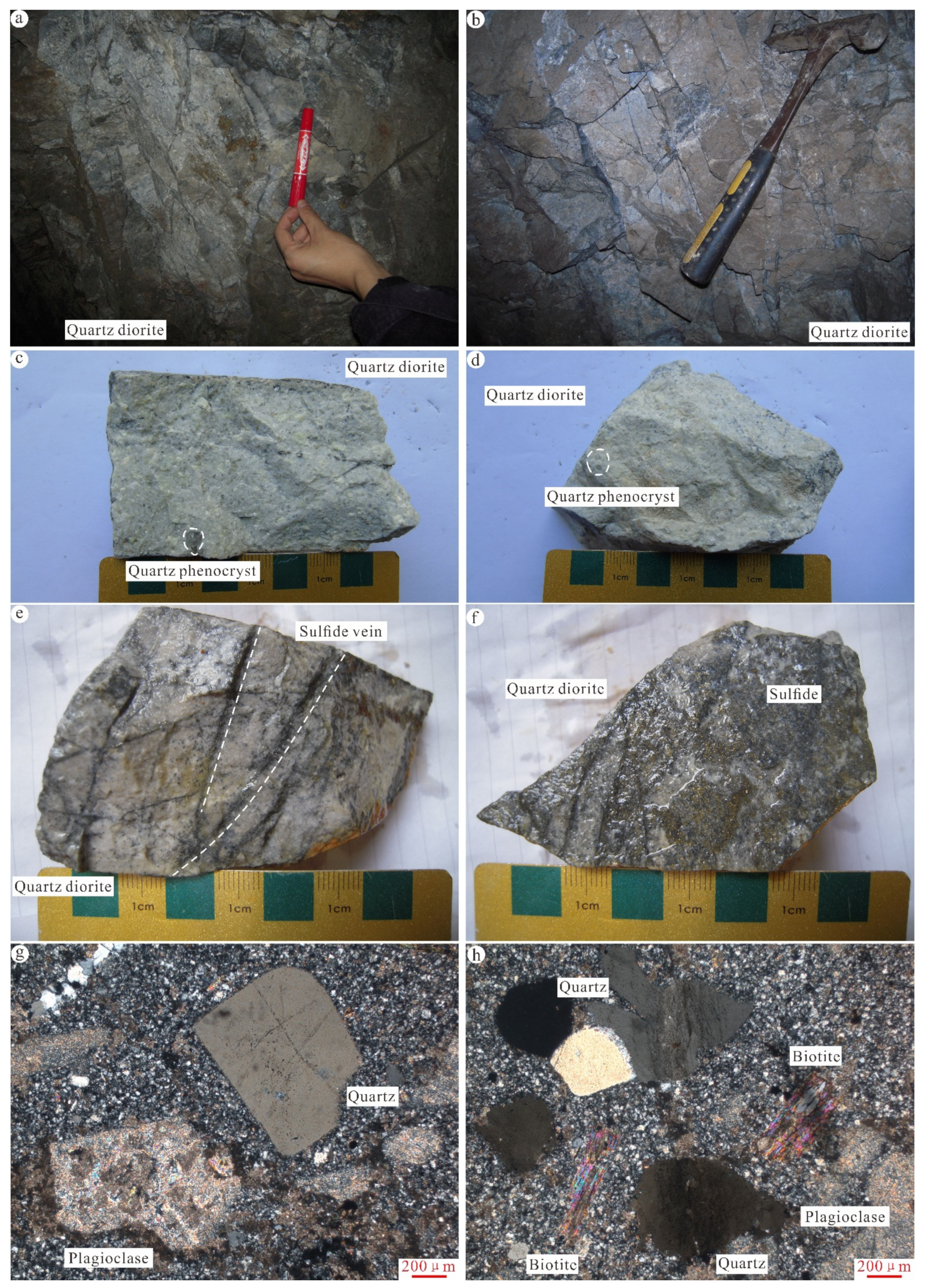 Minerals 12 01427 g004 Minerals 12 01427 g004