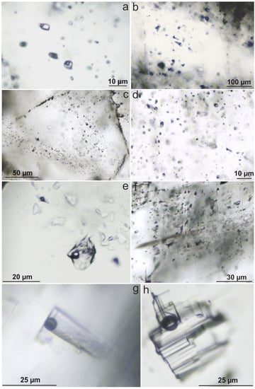 Minerals | Free Full-Text | Mineralogical and Fluid Inclusion Evidence ...