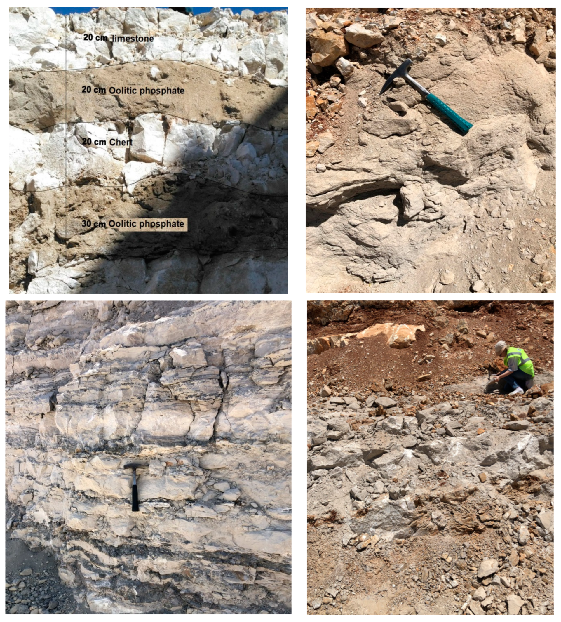 Minerals 12 01544 g004