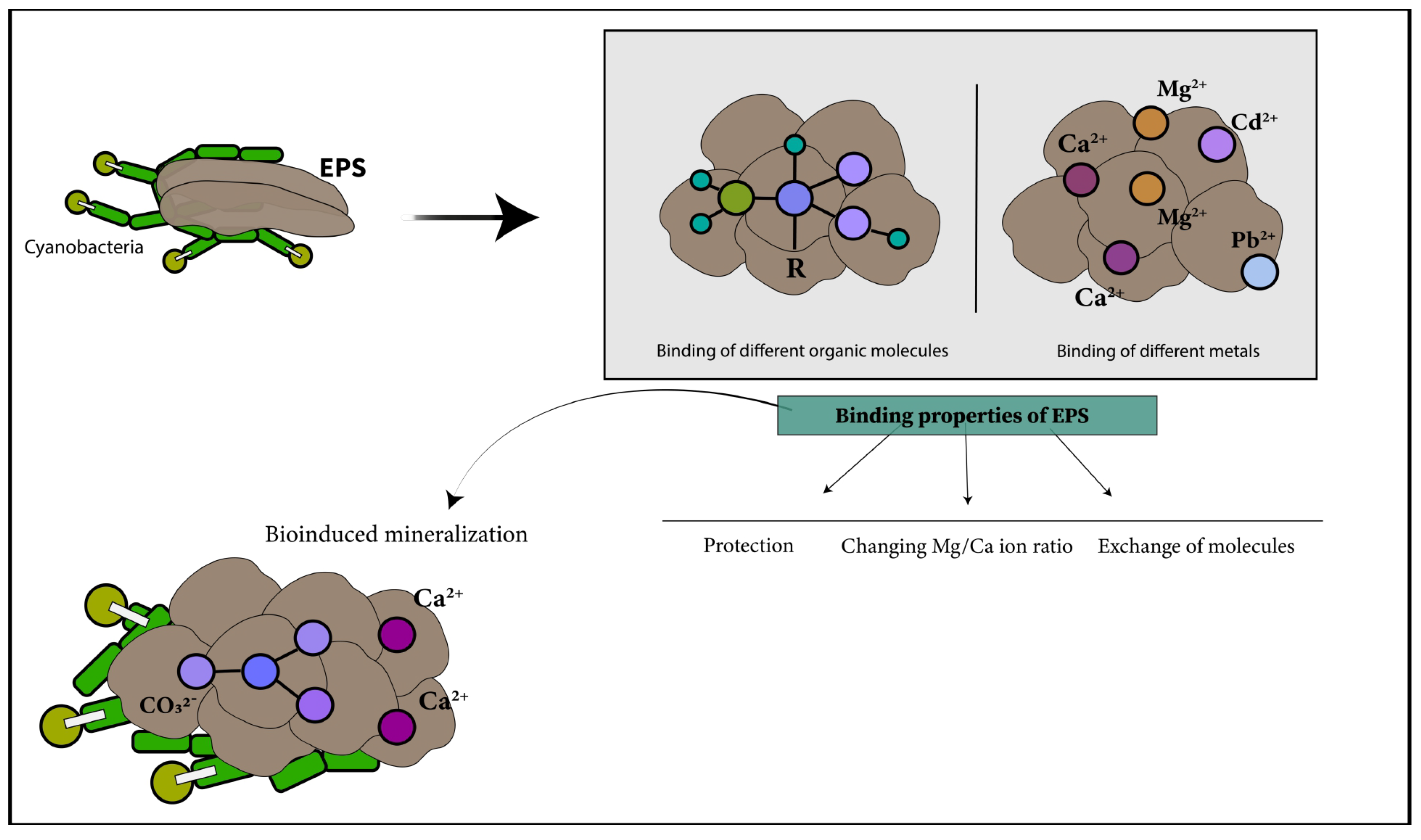 Minerals 12 01562 g002