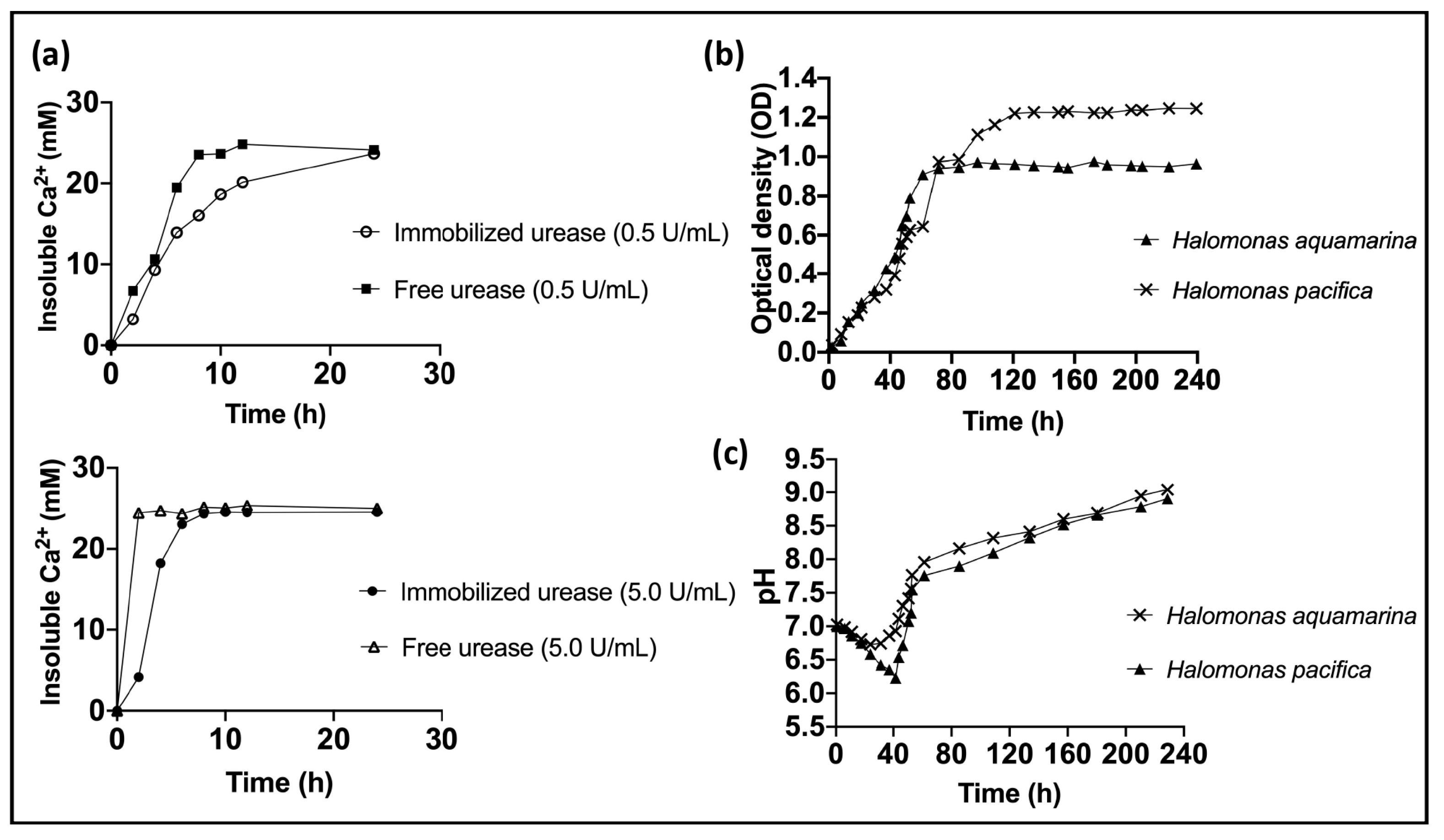 Minerals 12 01562 g004
