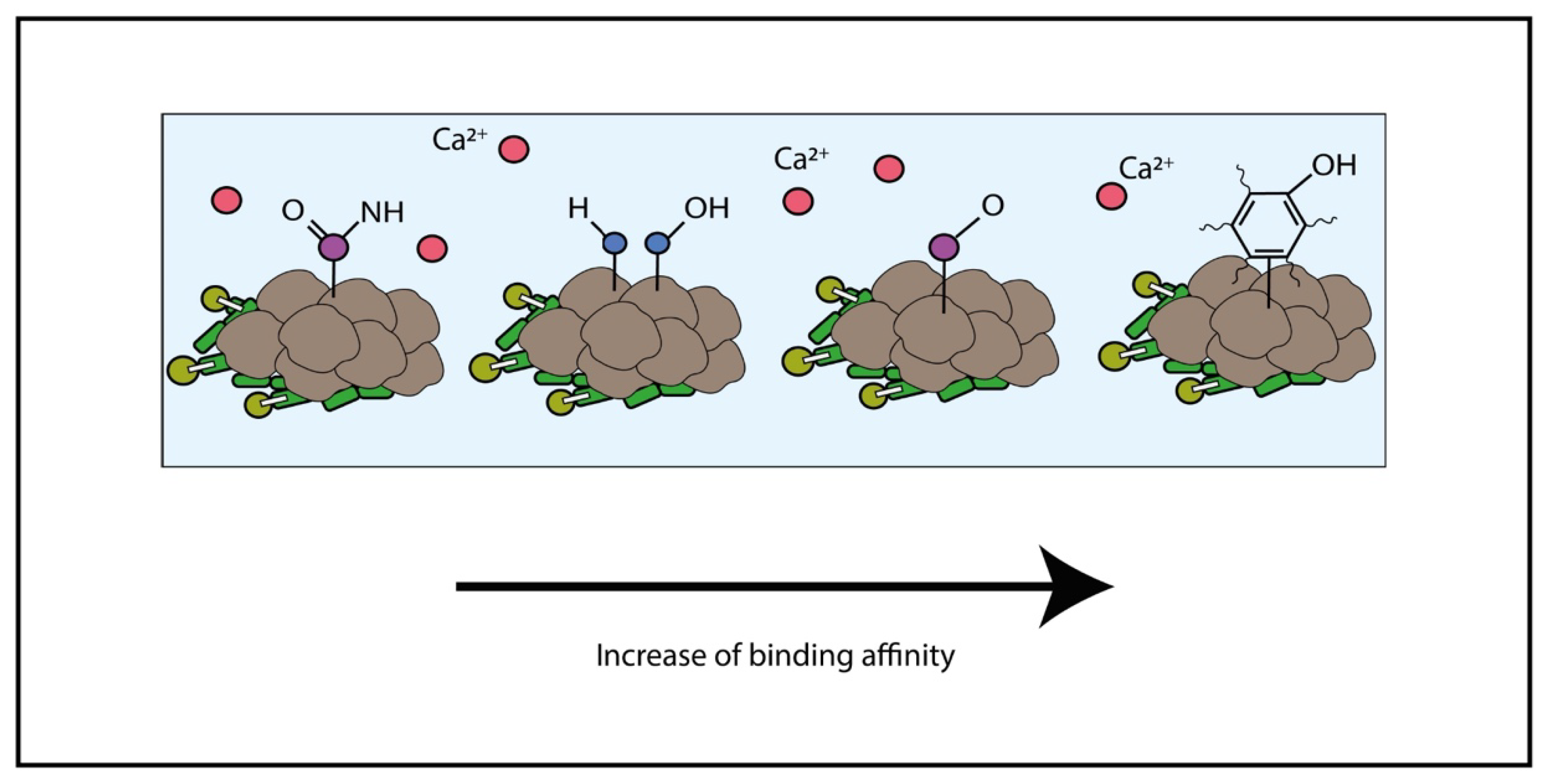 Minerals 12 01562 g005
