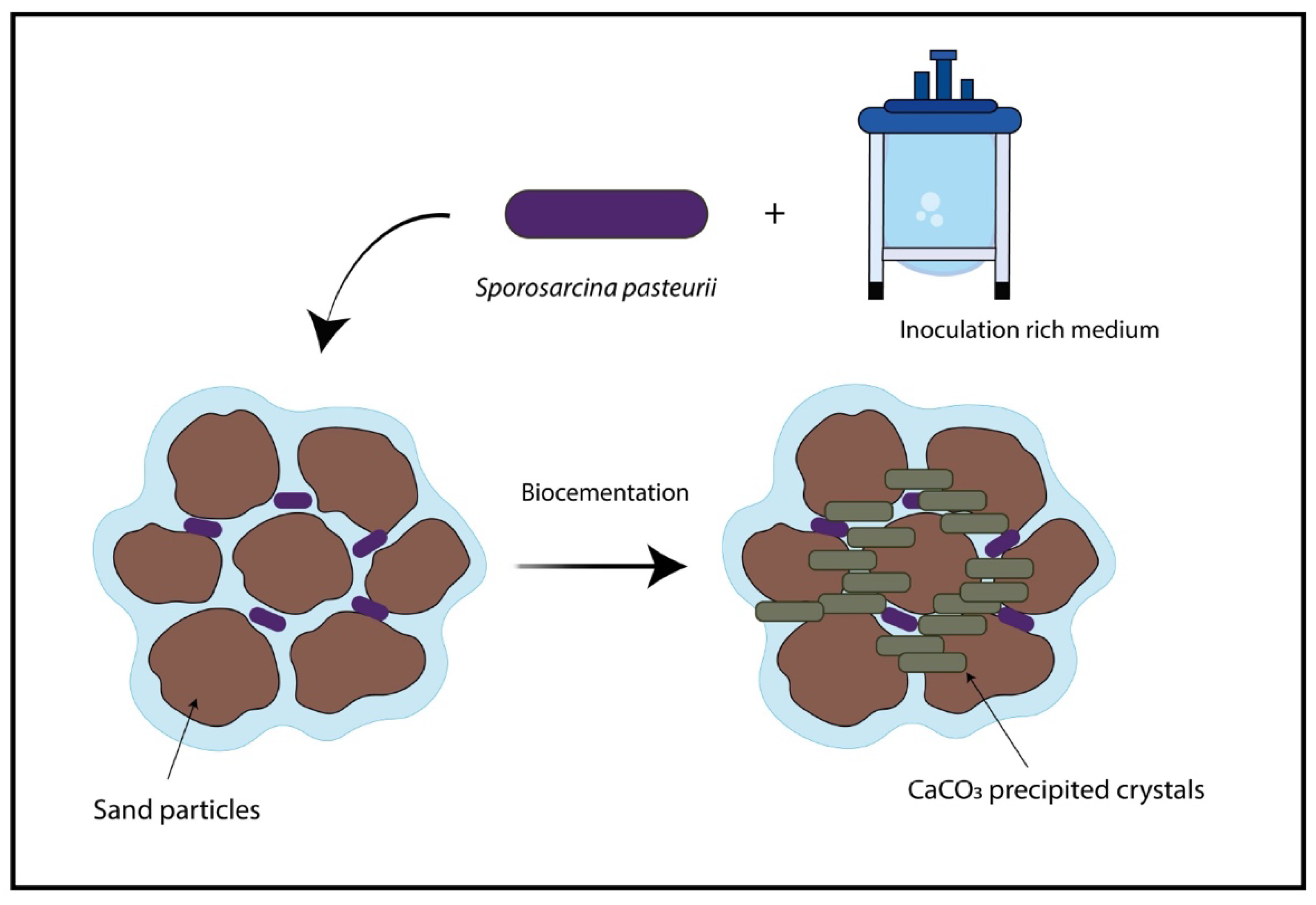 Minerals 12 01562 g006