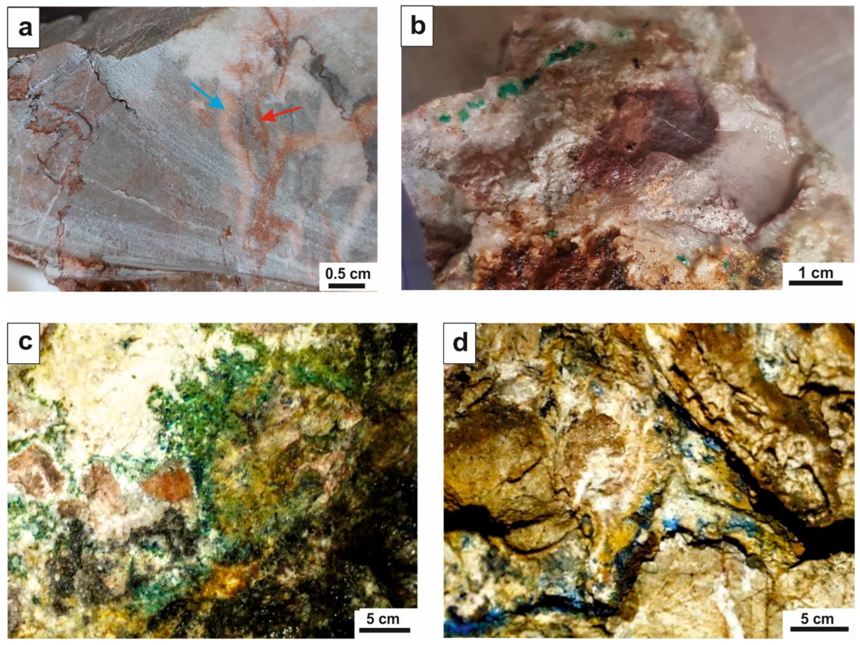 Minerals 13 00054 g006 Minerals 13 00054 g006