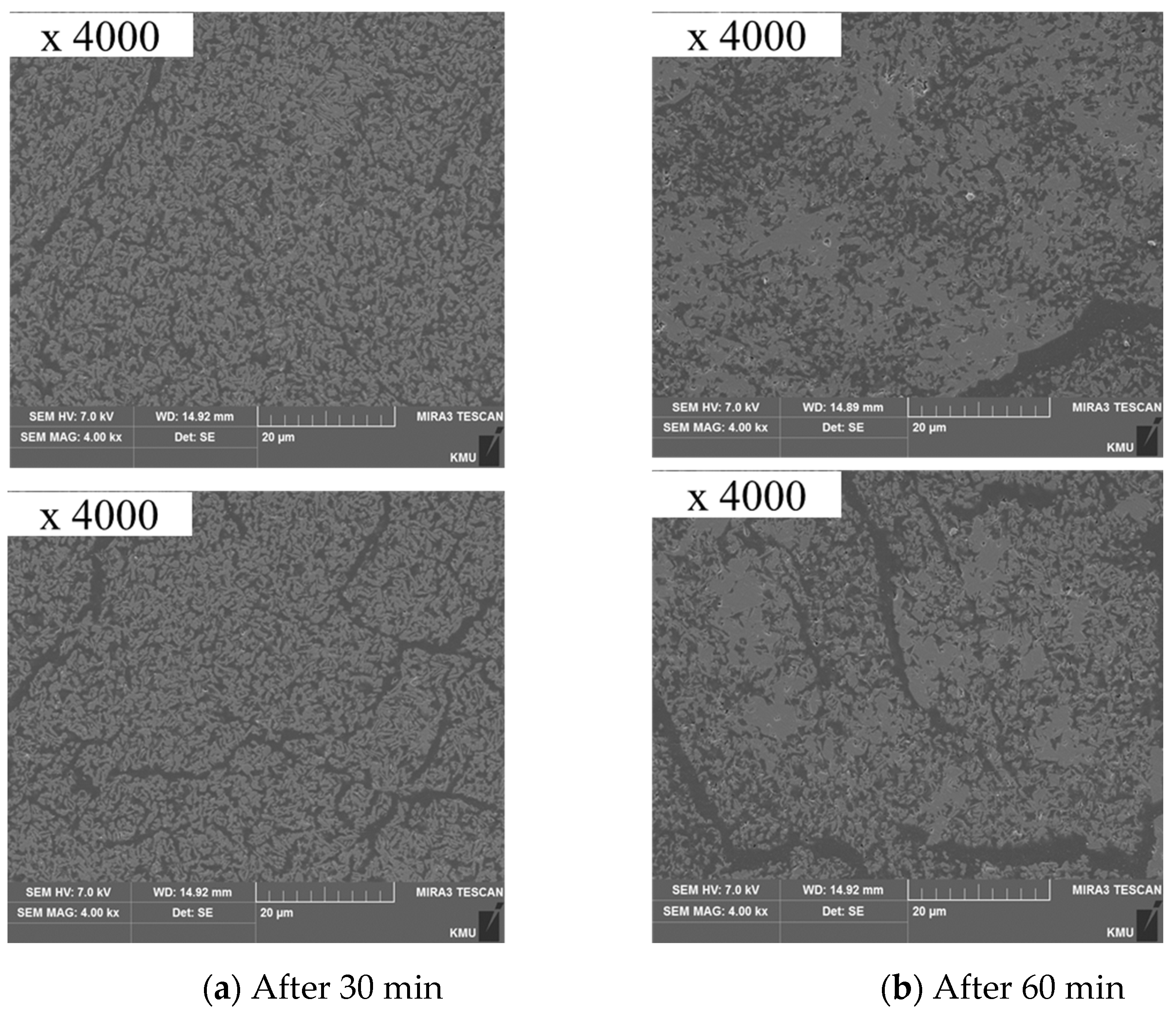 Minerals 13 00133 g011 Minerals 13 00133 g011