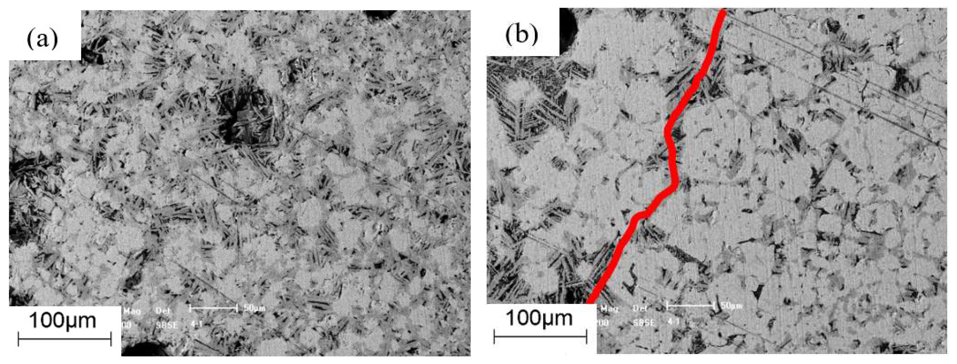 Minerals | Free Full-Text | Investigation on Segregation 