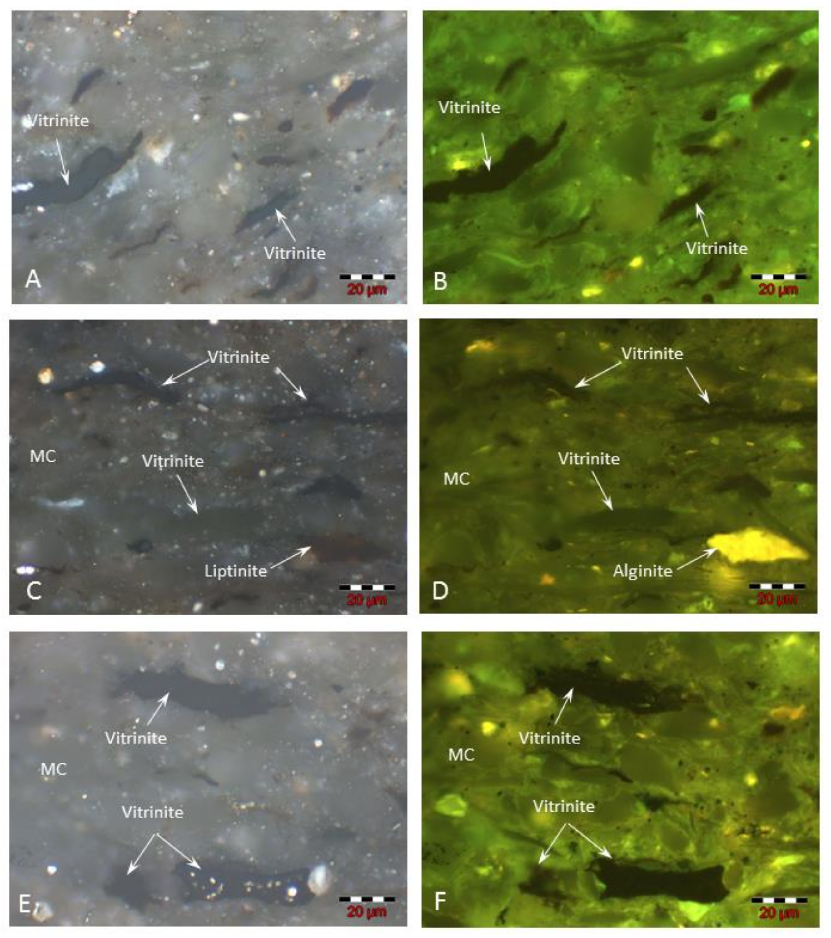 Minerals 13 00202 g005