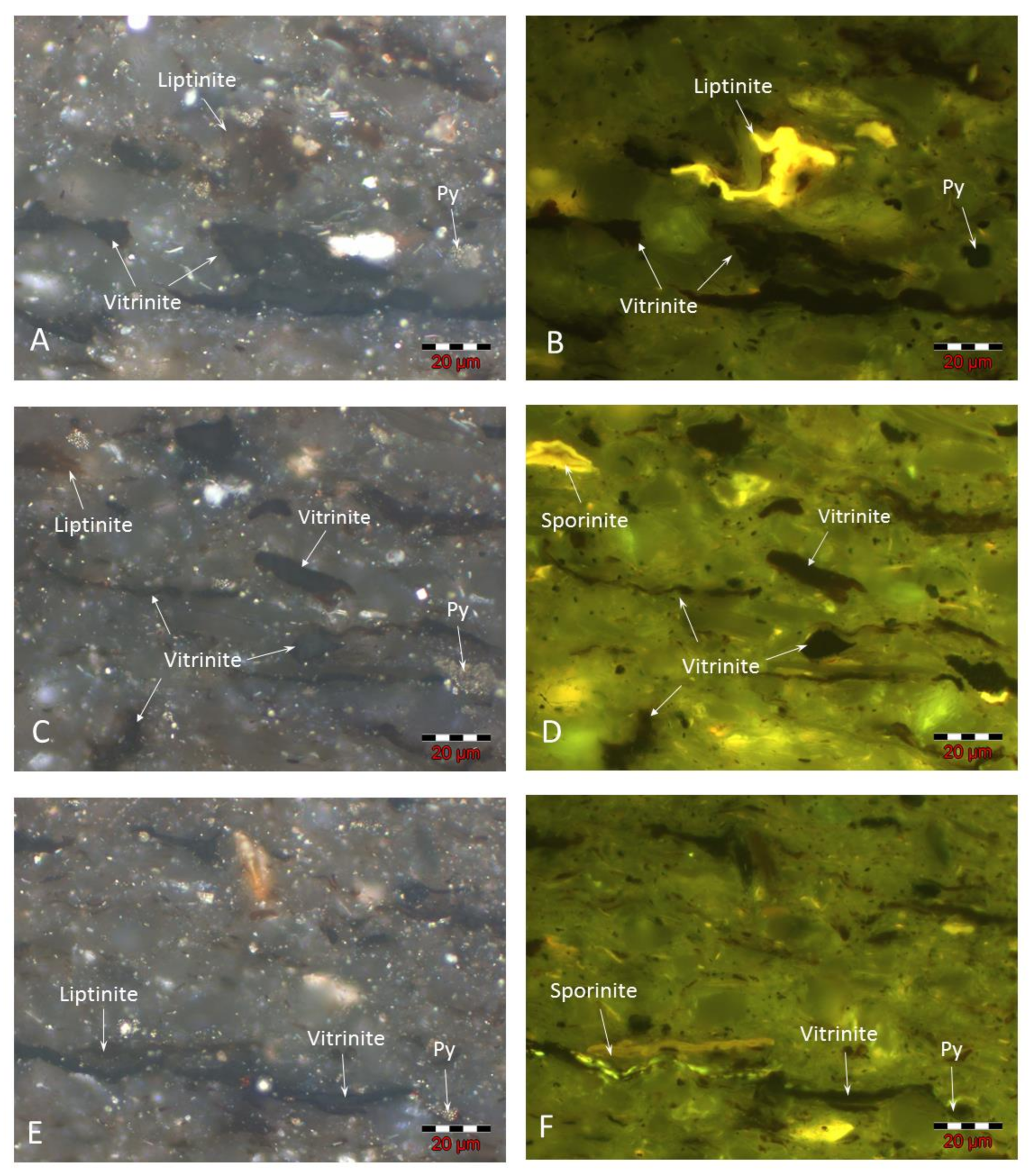 Minerals 13 00202 g006