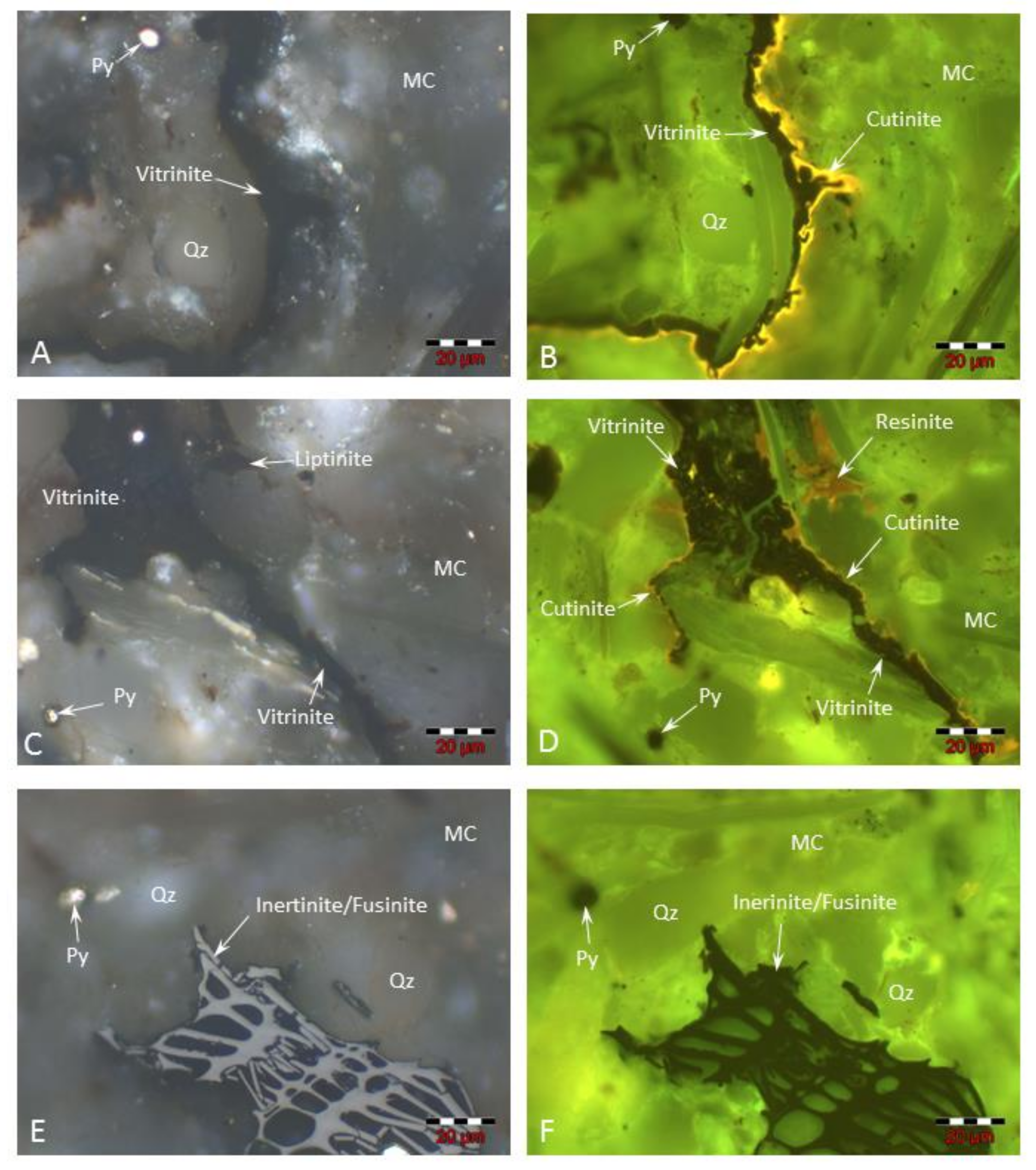 Minerals 13 00202 g007