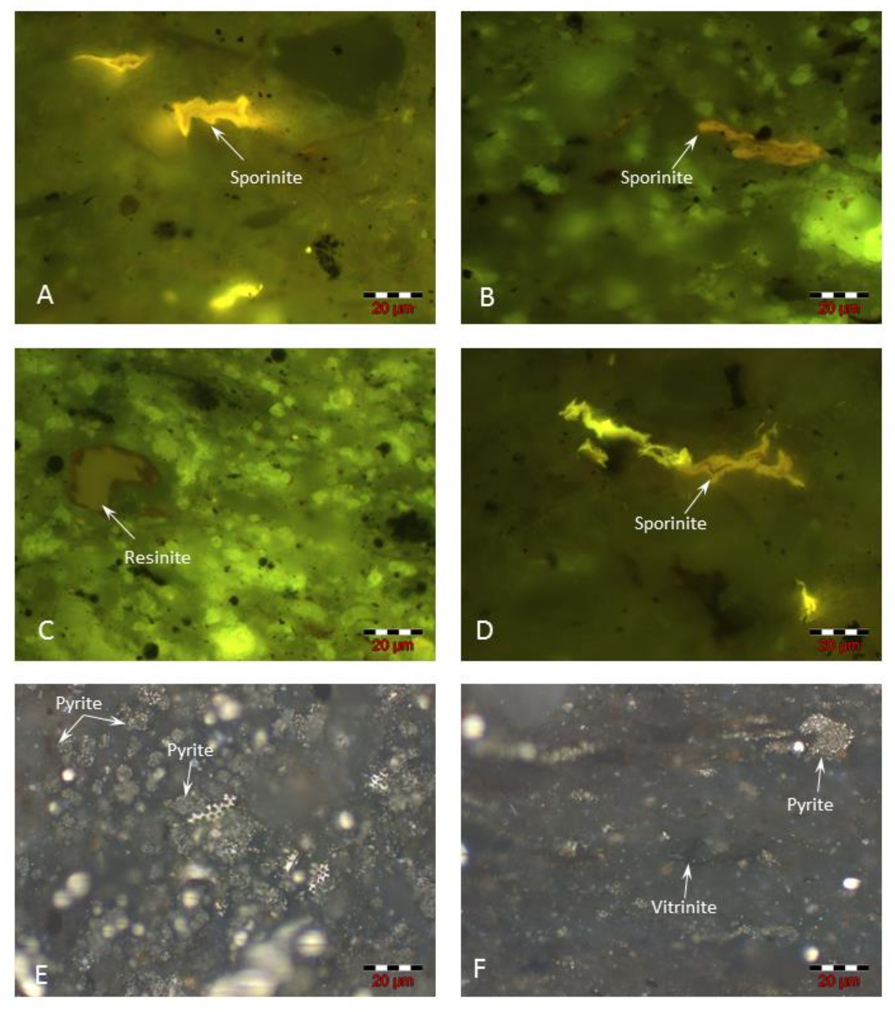 Minerals 13 00202 g008