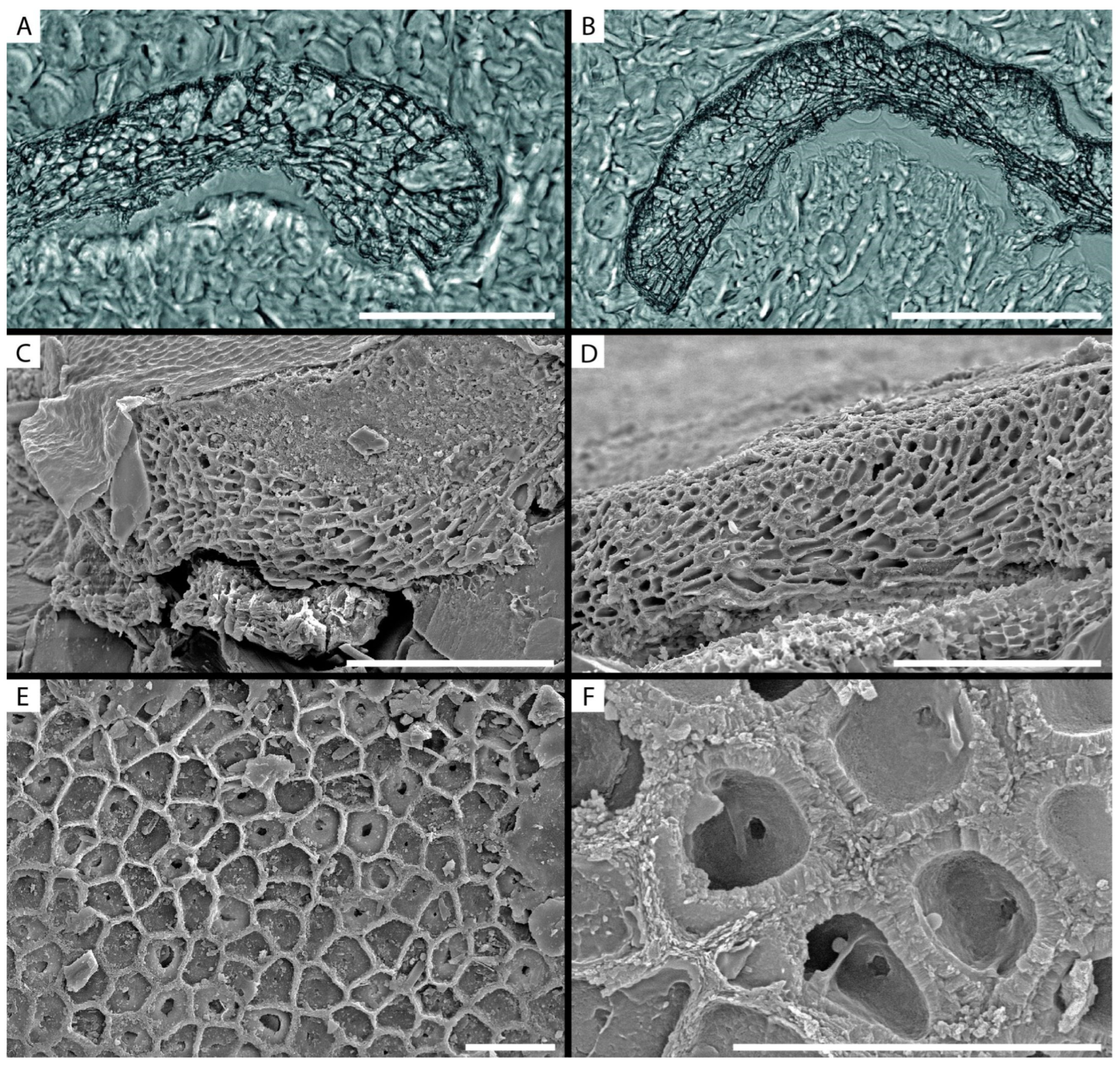 Minerals 13 00215 g002