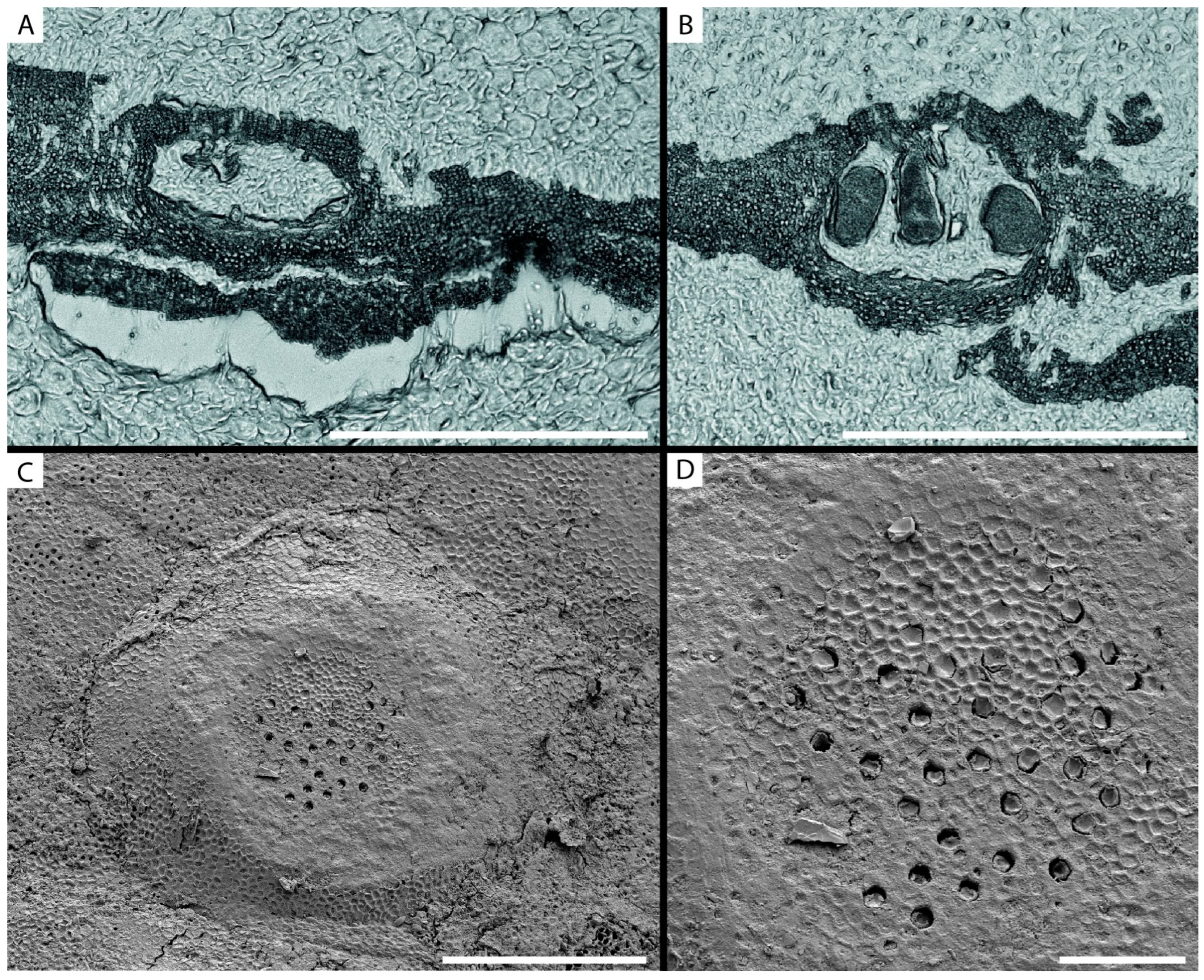 Minerals 13 00215 g003