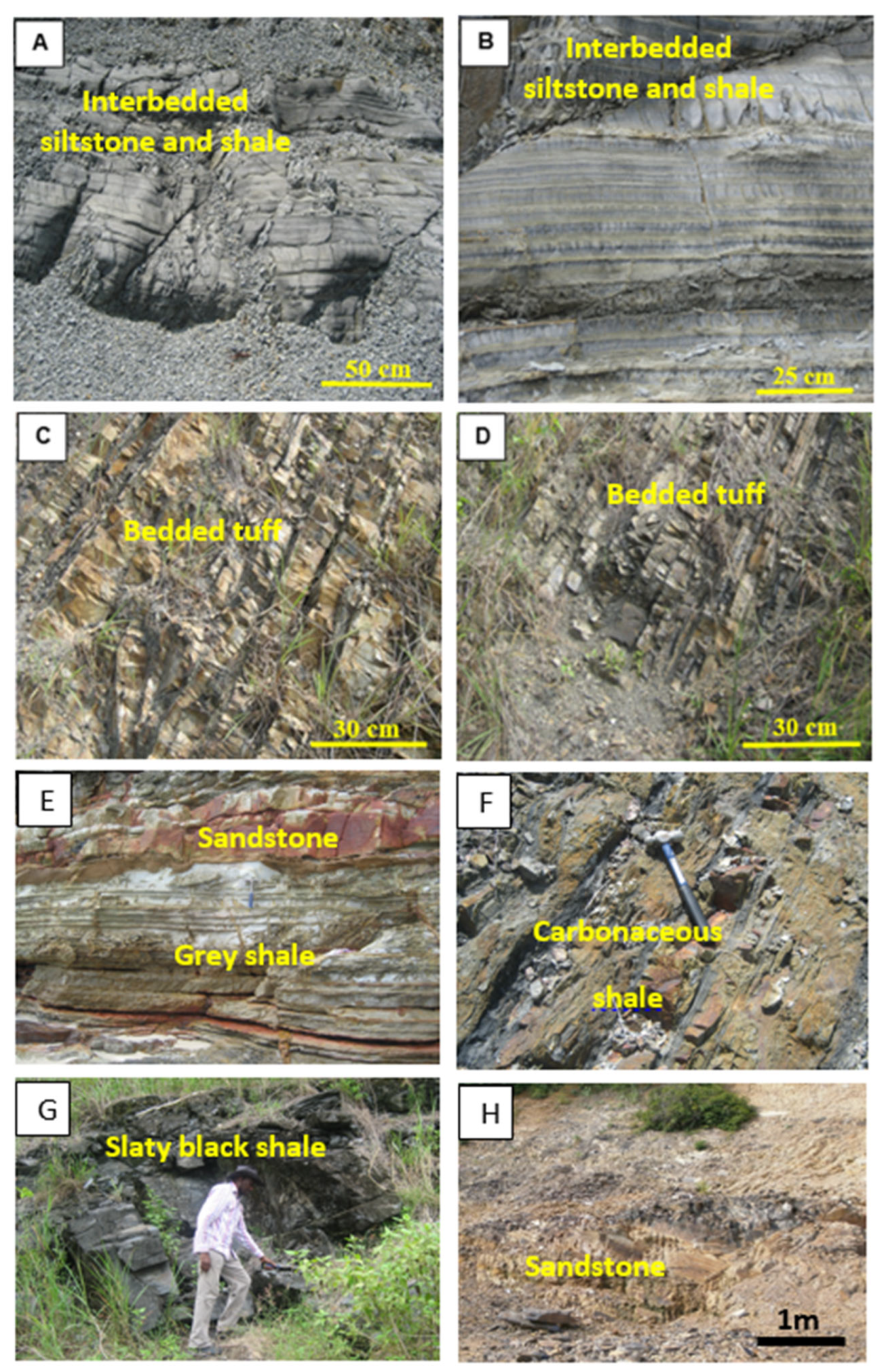 Minerals 13 00221 g005