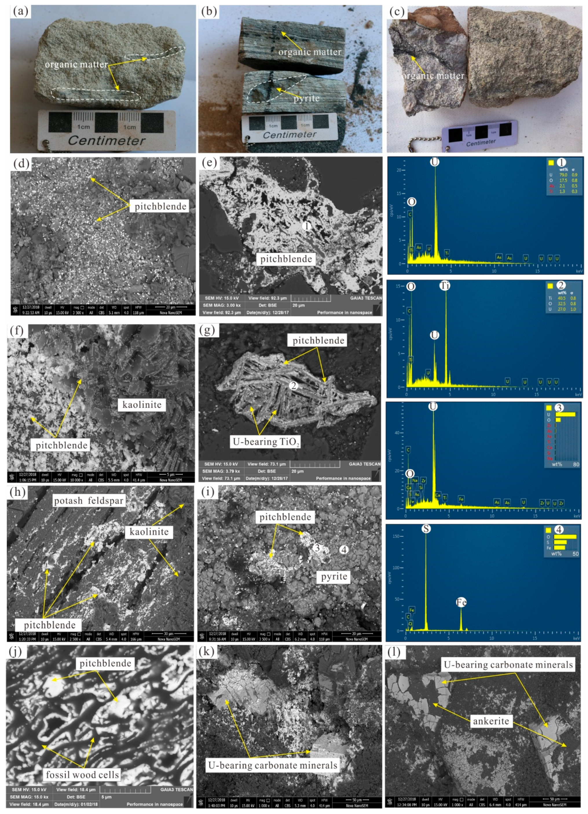 Minerals 13 00339 g003 Minerals 13 00339 g003