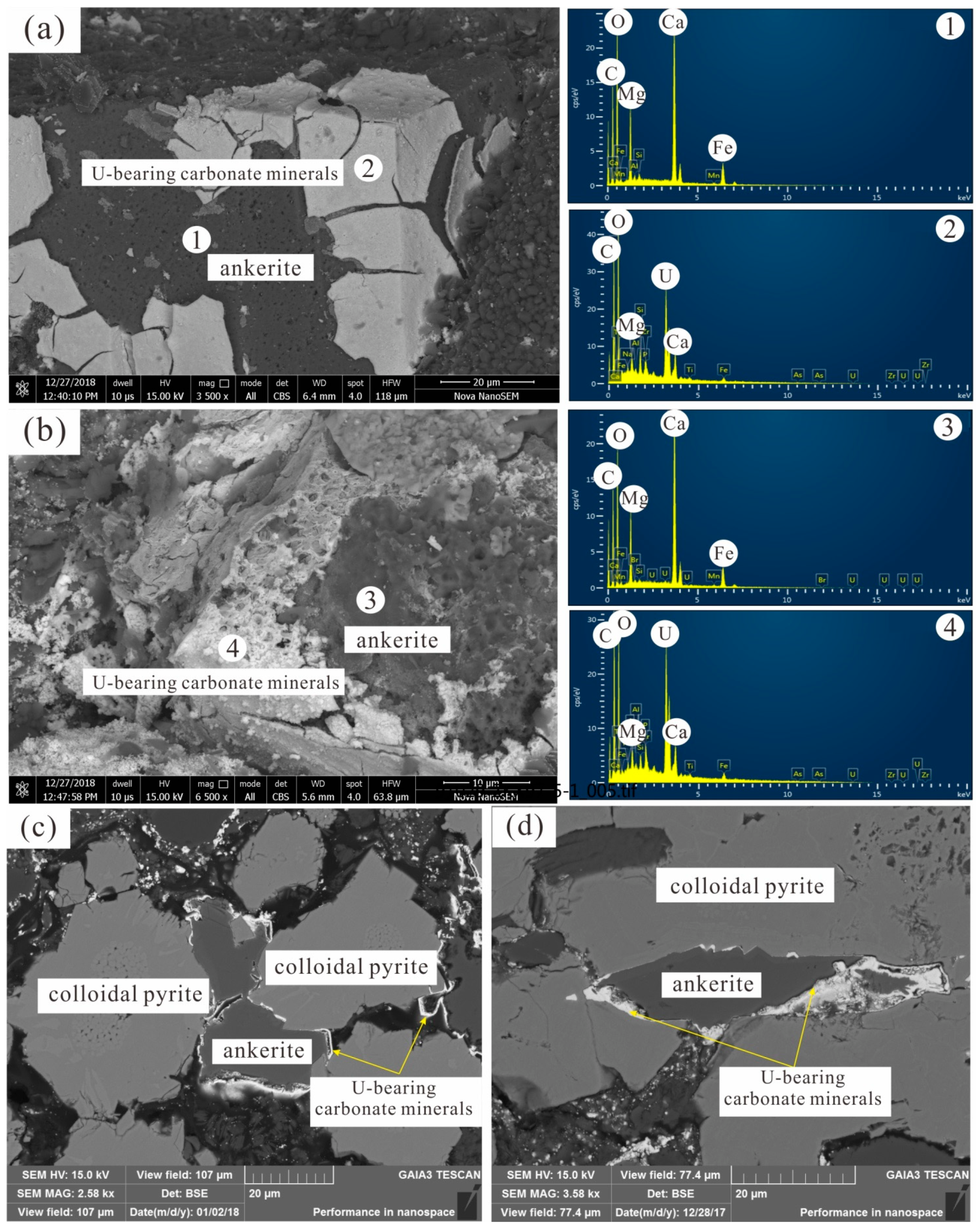 Minerals 13 00339 g004 Minerals 13 00339 g004