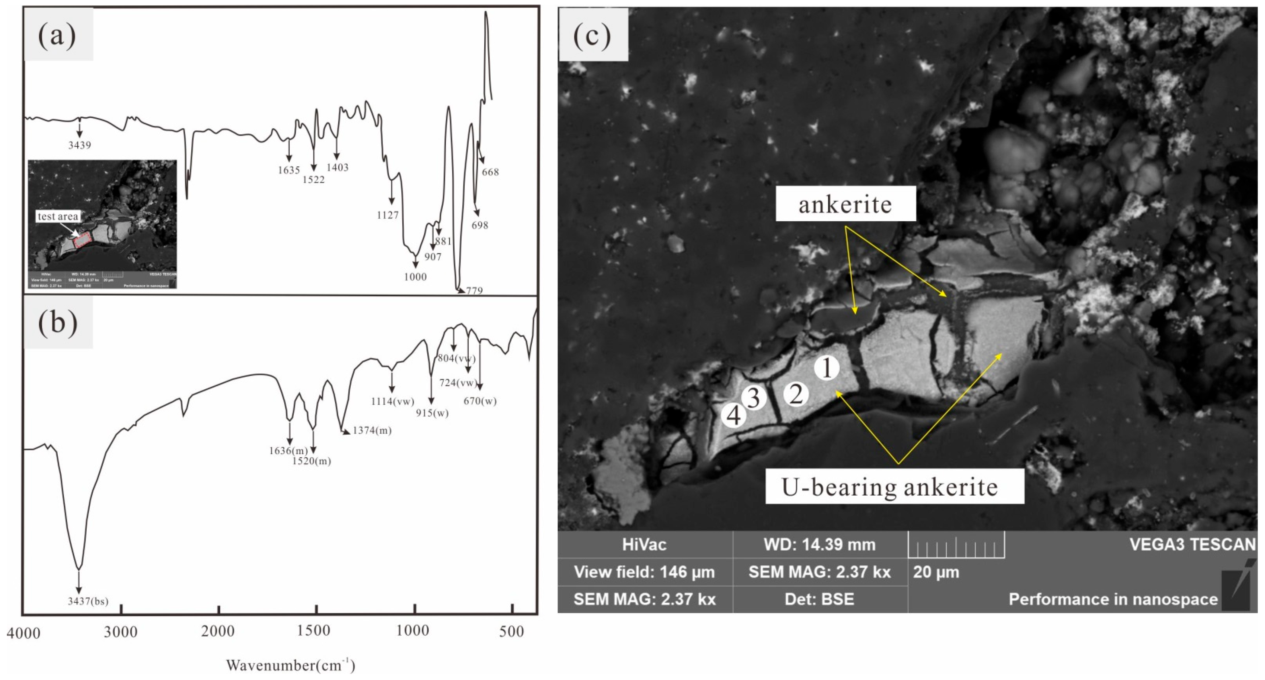 Minerals 13 00339 g005 Minerals 13 00339 g005