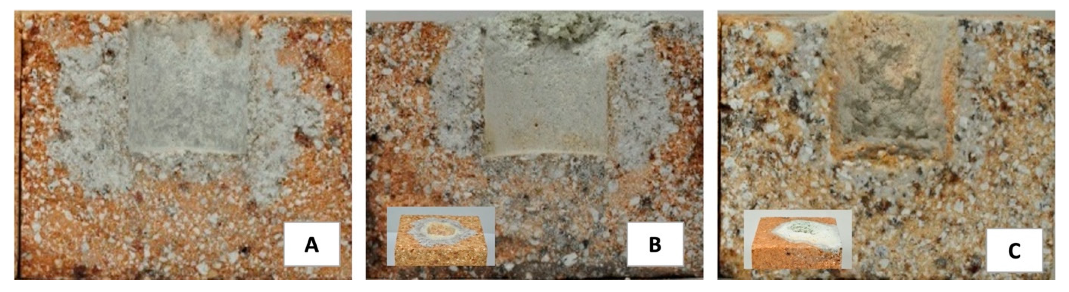Minerals | Free Full-Text | The Corrosion Effect of Fly Ash from Biomass  Combustion on Andalusite Refractory Materials