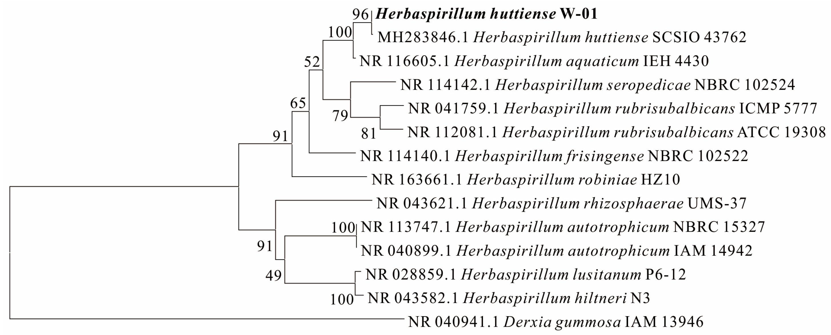 Minerals 13 00367 g001 Minerals 13 00367 g001