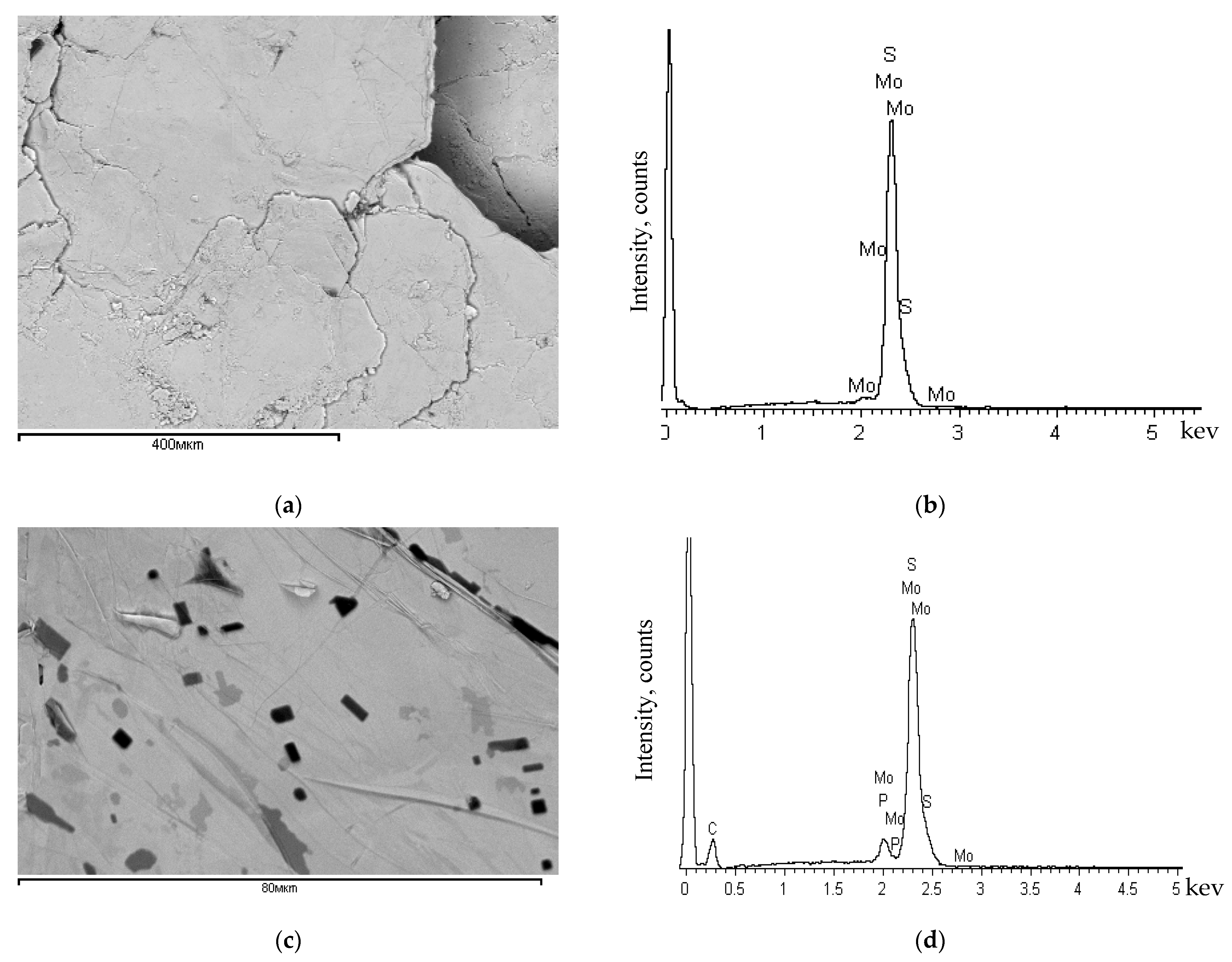 Minerals | Free Full-Text | Substantiation of New Reagent Compositions for  the Effective Extraction of Rhenium in the Processing of Complex Molybdenum  Ores