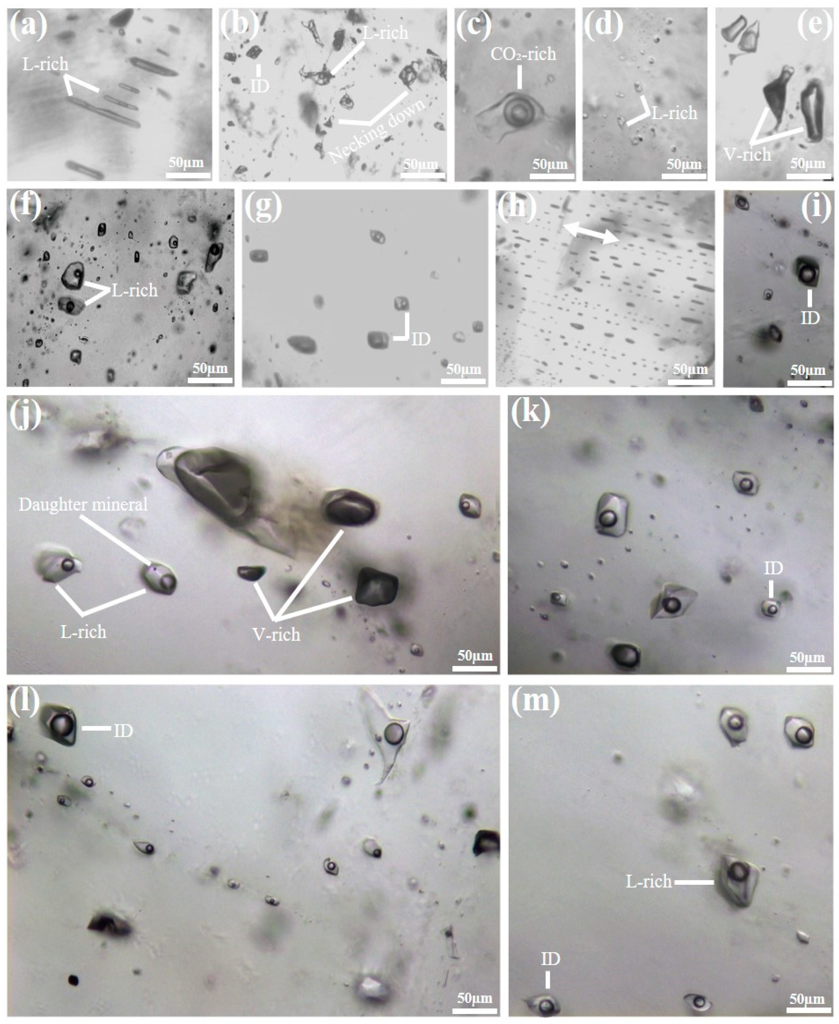 Minerals 13 00458 g011