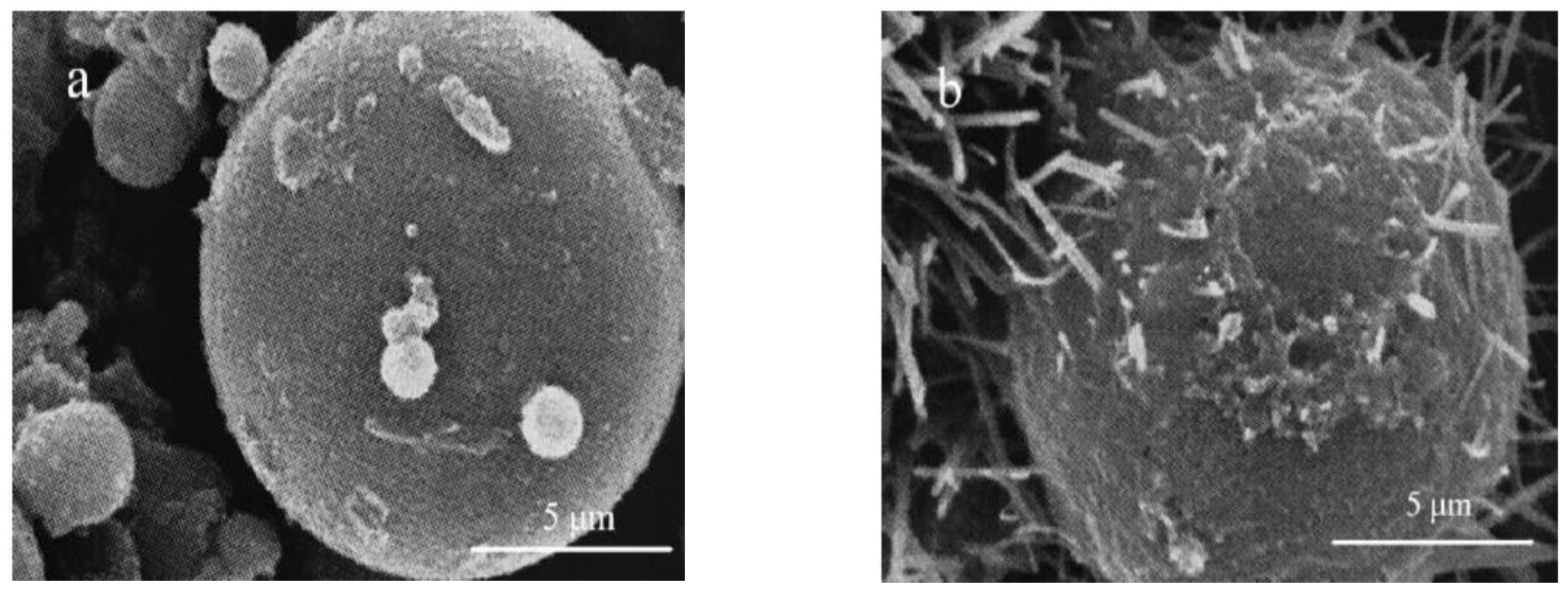 Minerals 13 00473 g017