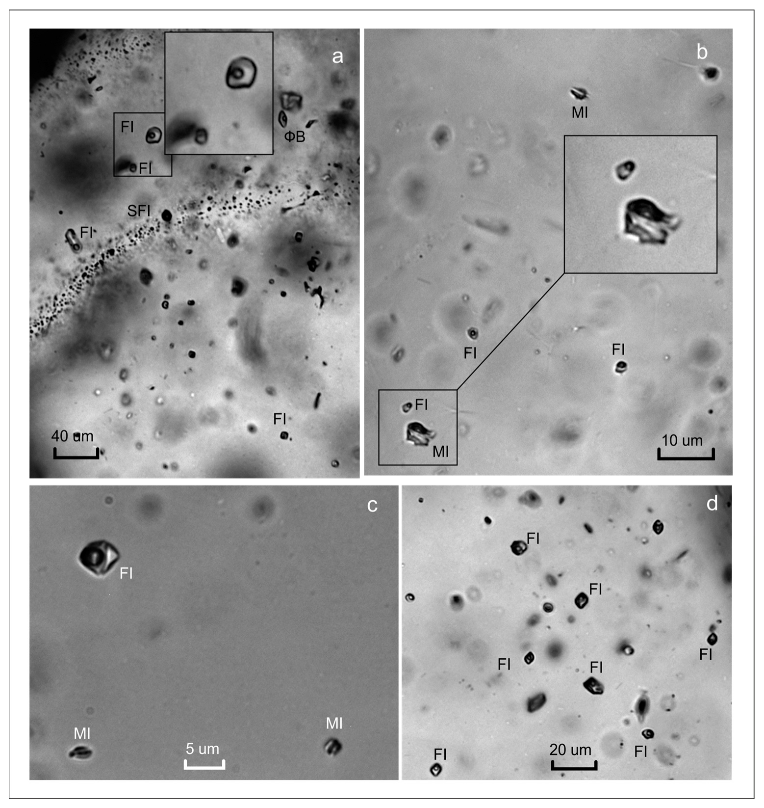 Minerals | Free Full-Text | Formation of High-Silica Leucocratic ...