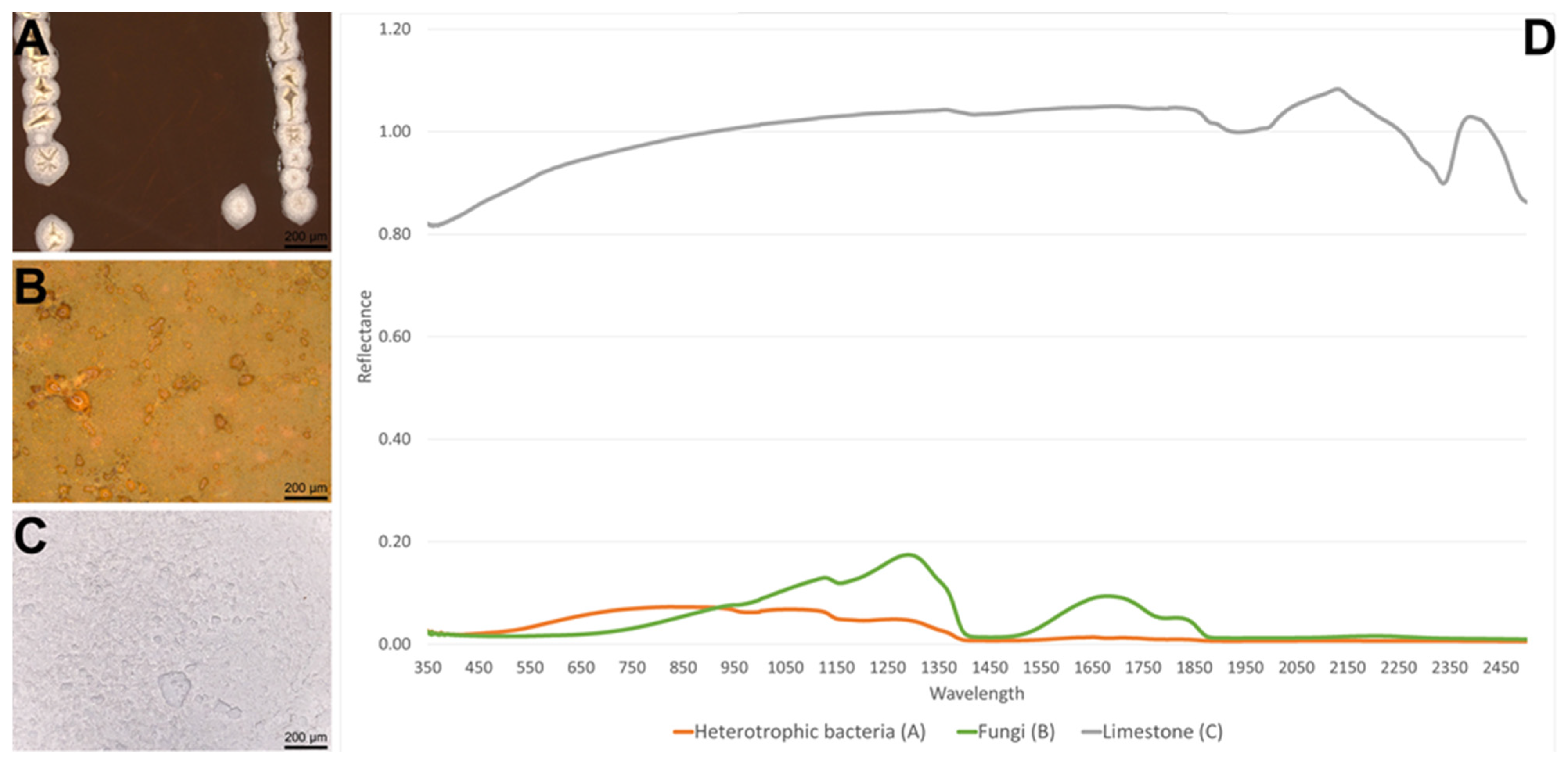 Minerals 13 00530 g017