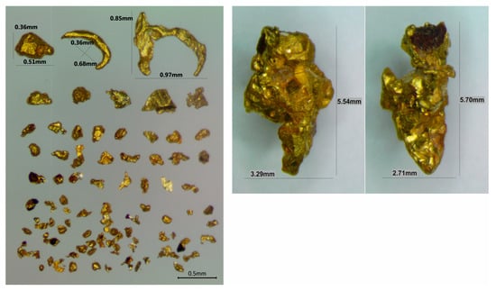 Gold dust (placer gold) 2, Gold dust (placer gold) (DRA 101…