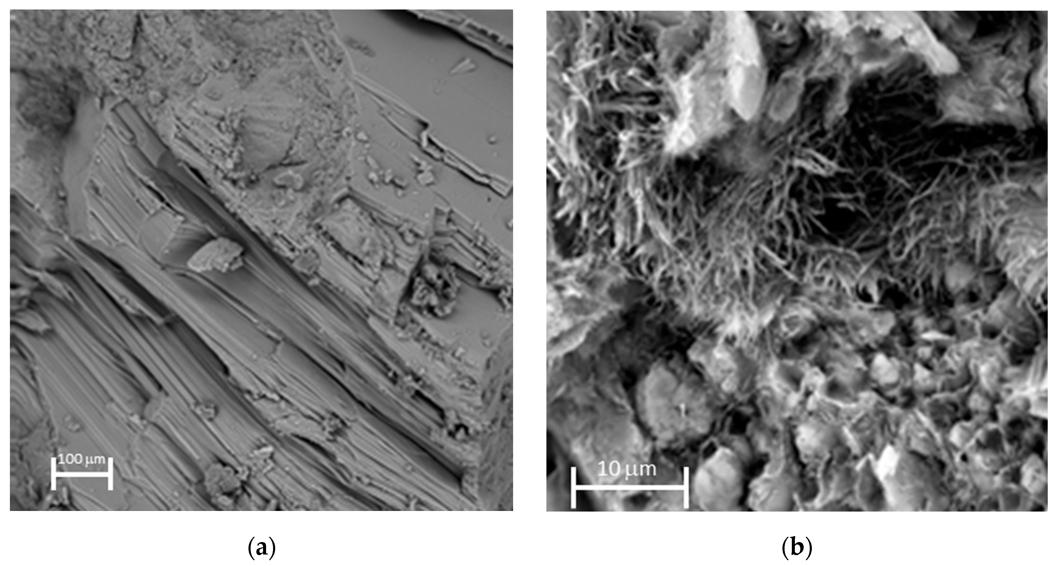 Minerals 13 00593 g001 Minerals 13 00593 g001