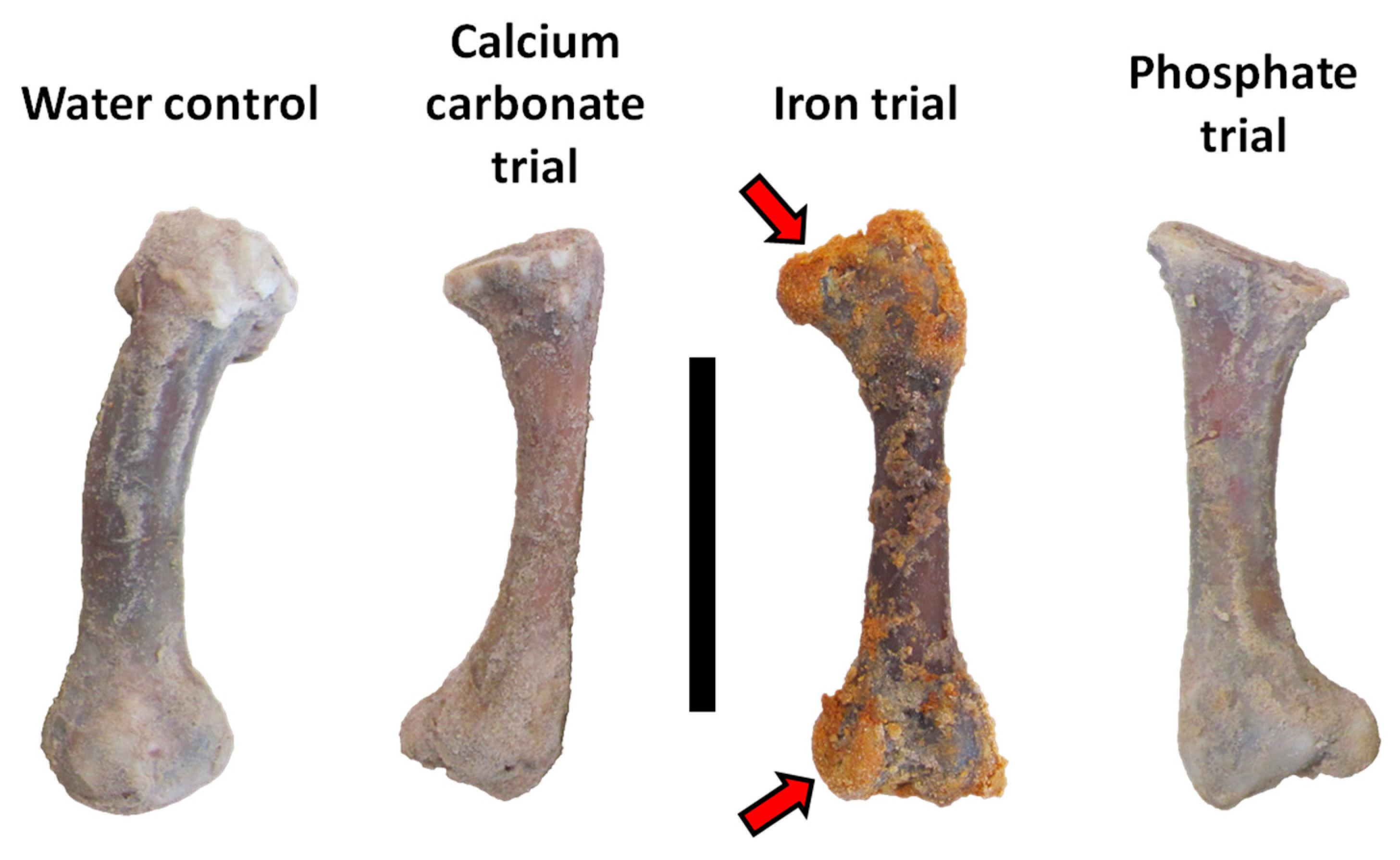 Minerals 13 00596 g005
