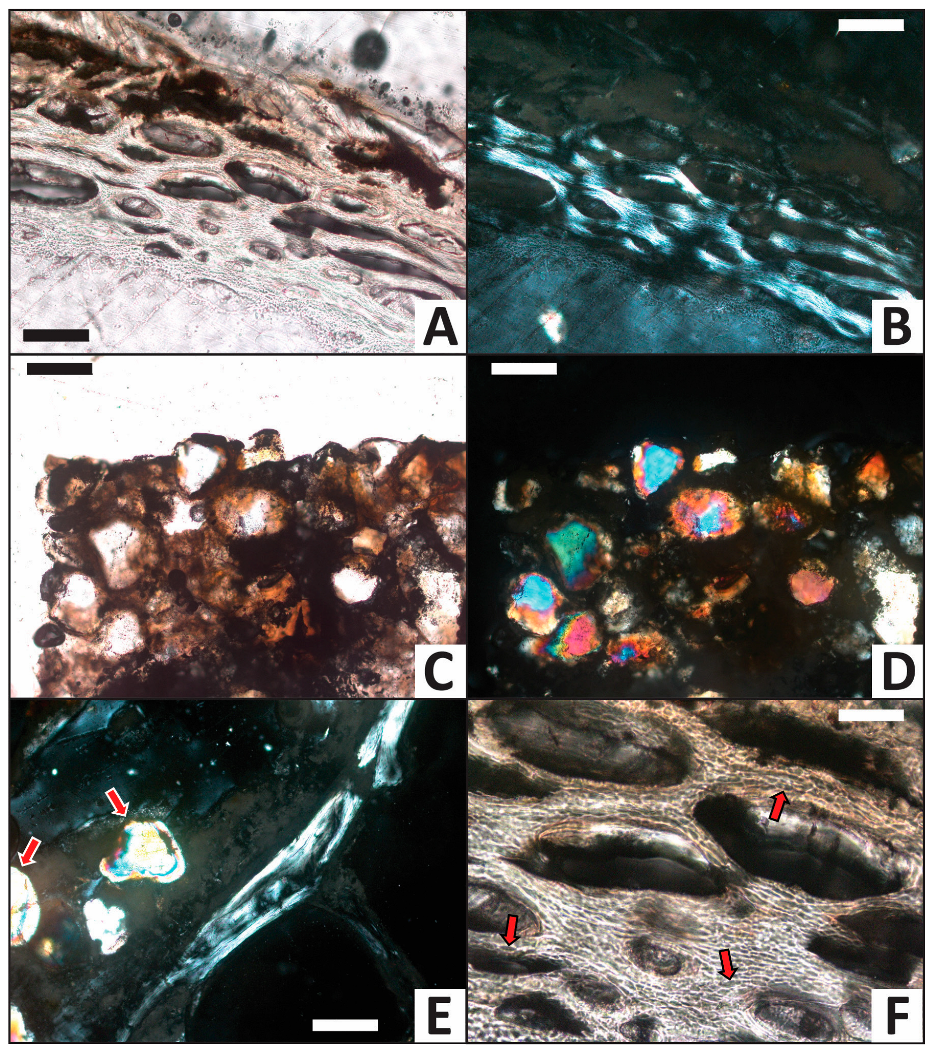 Minerals 13 00596 g009