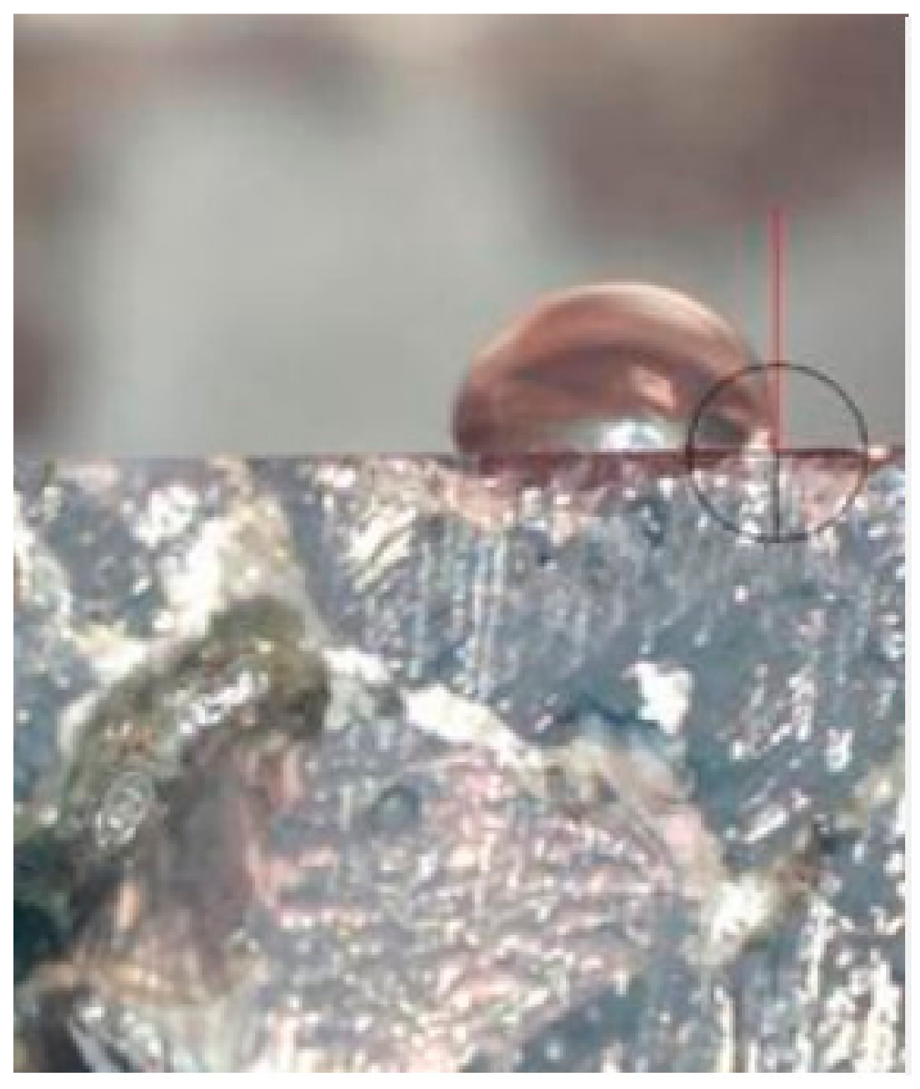 Minerals 13 00599 g005