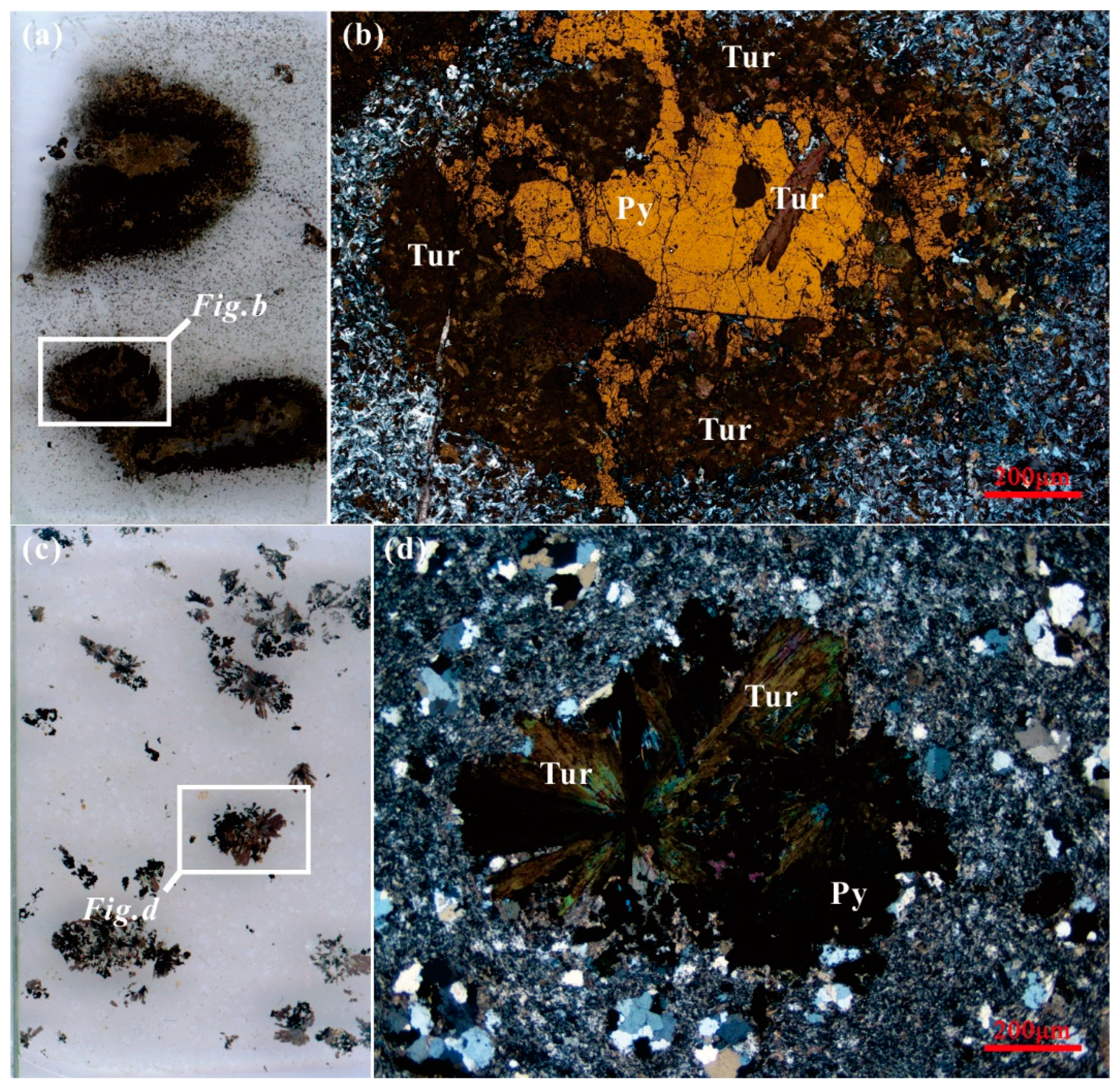 Minerals 13 00612 g004 Minerals 13 00612 g004