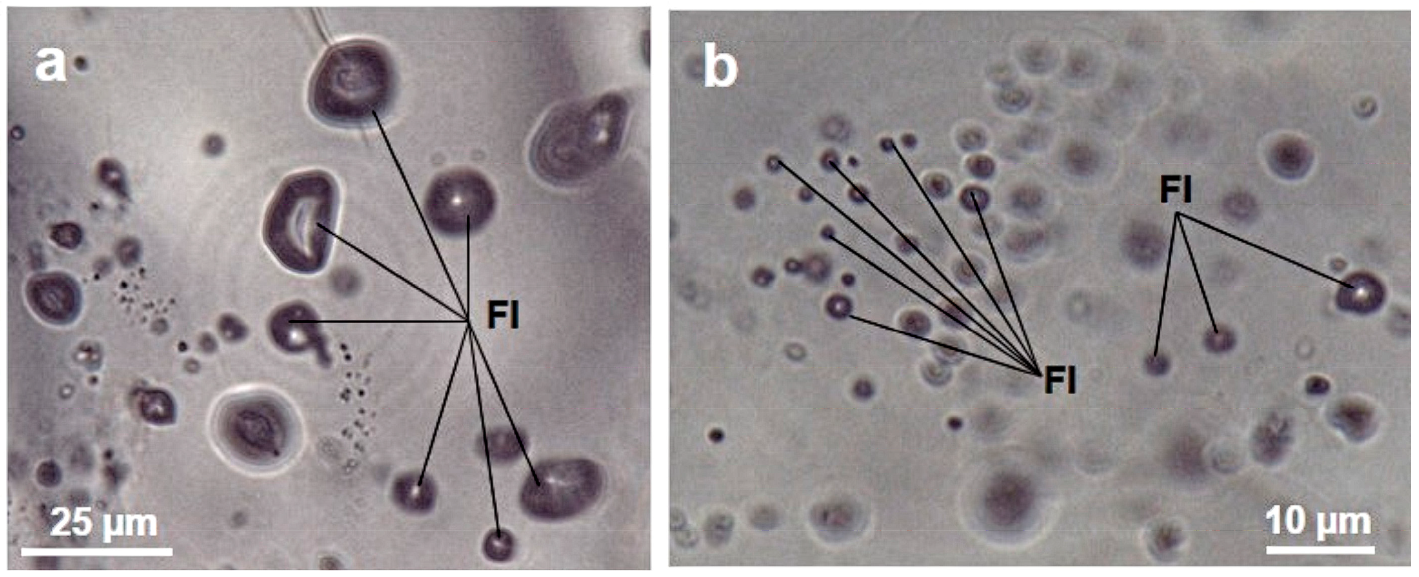 Minerals 13 00618 g002