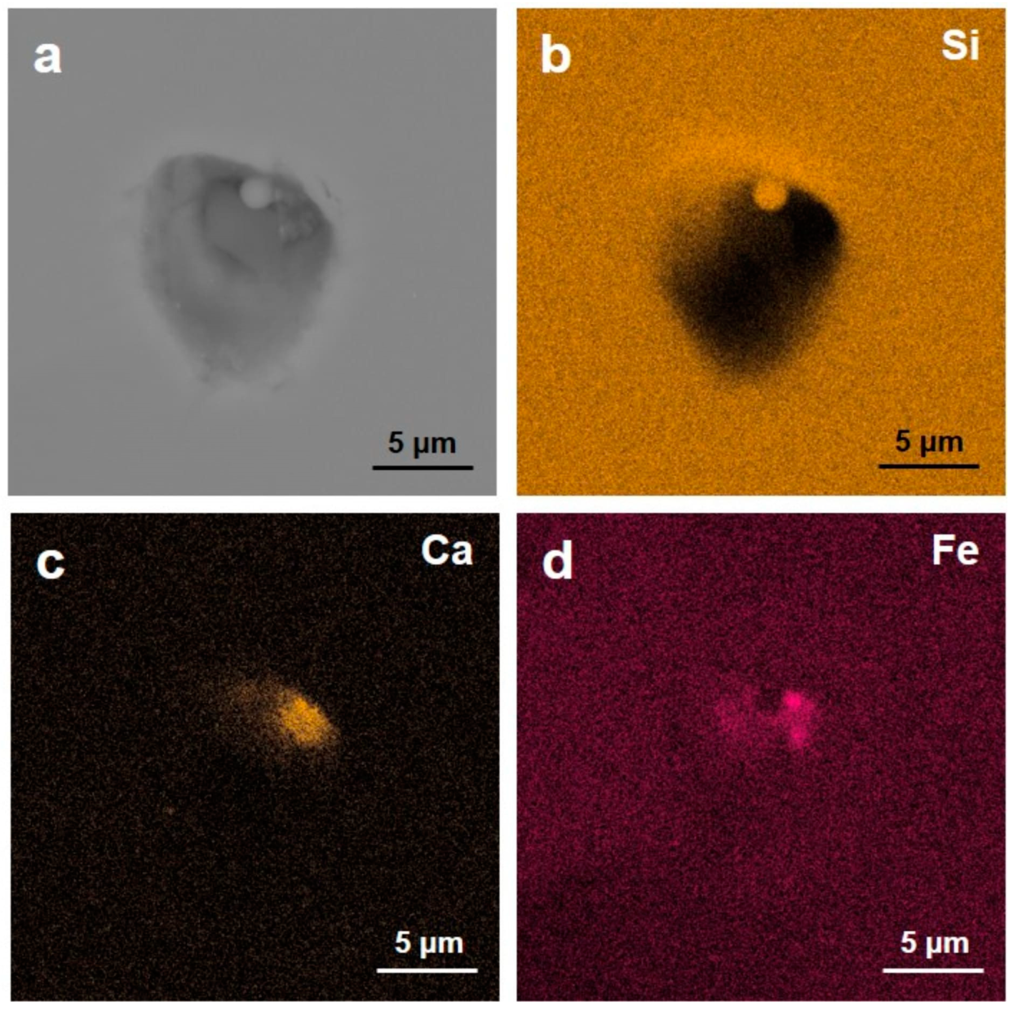 Minerals 13 00618 g003