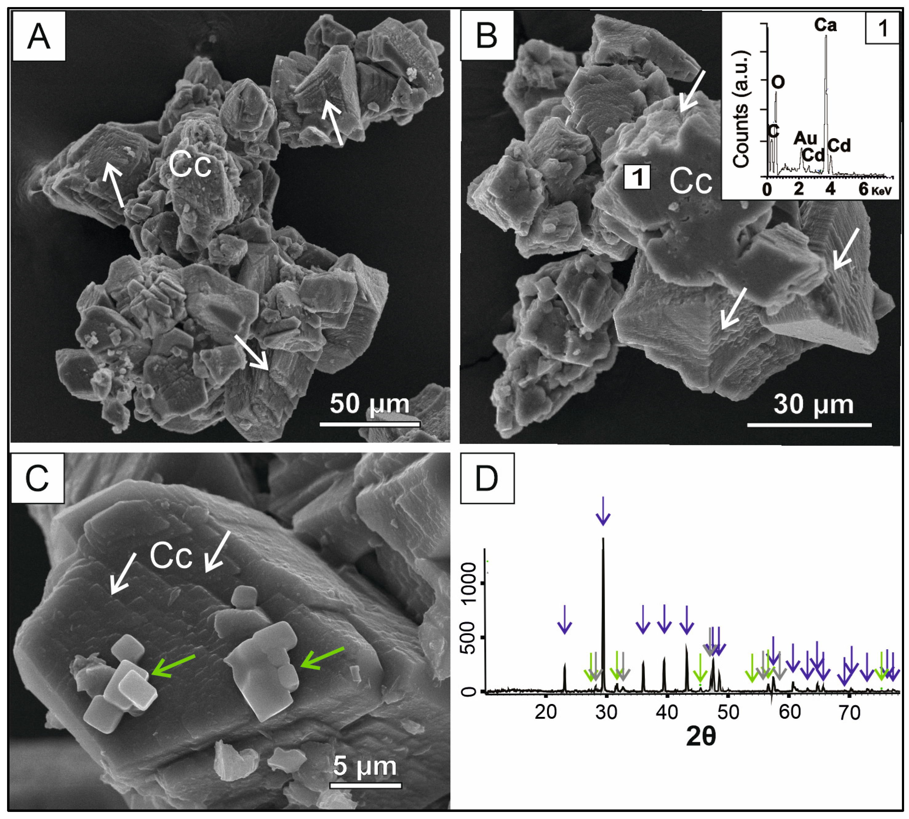 Calcium Carbonate Mineral Formation, Dissolution, Structures, & Geological  Significance