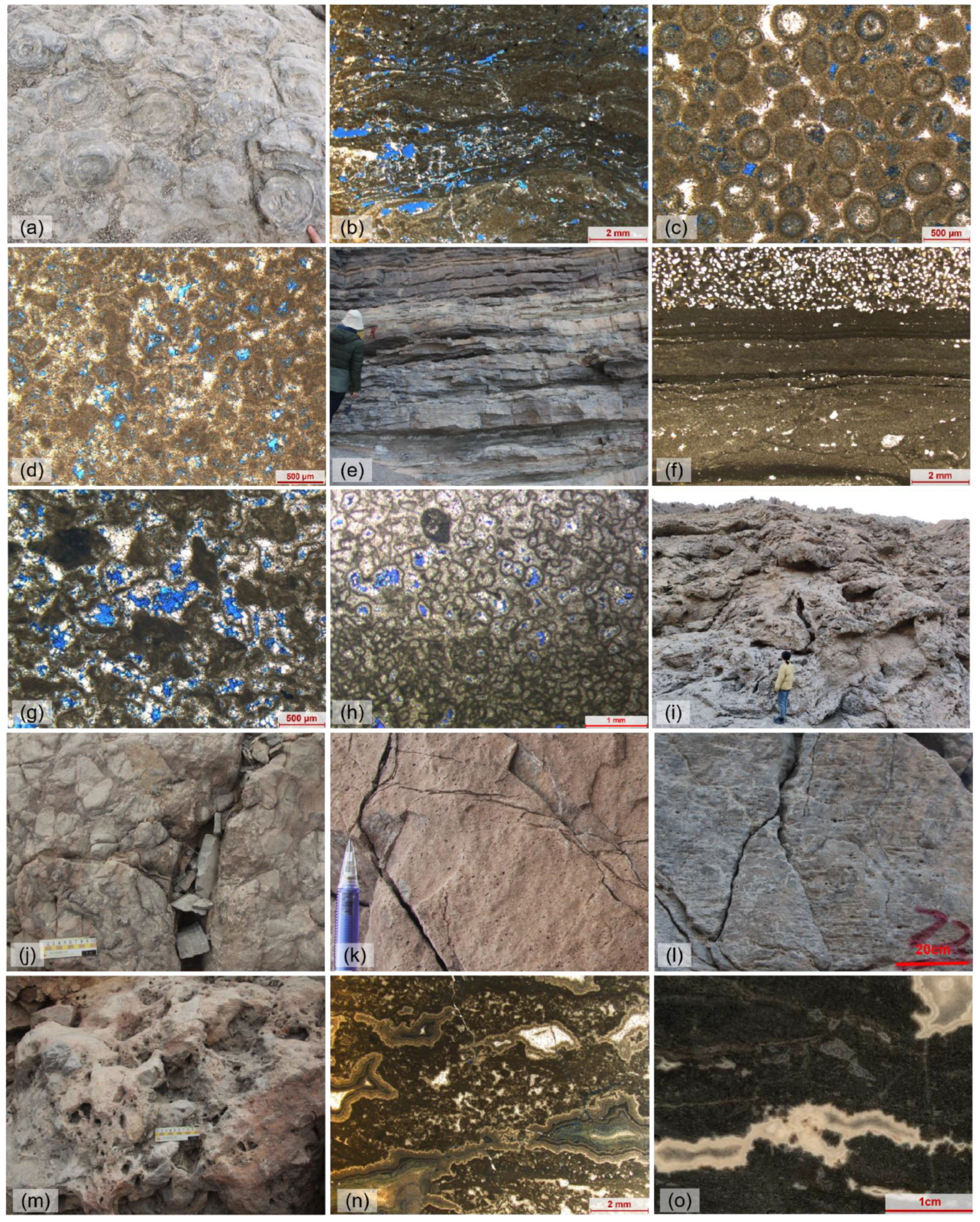 Minerals 13 00725 g004