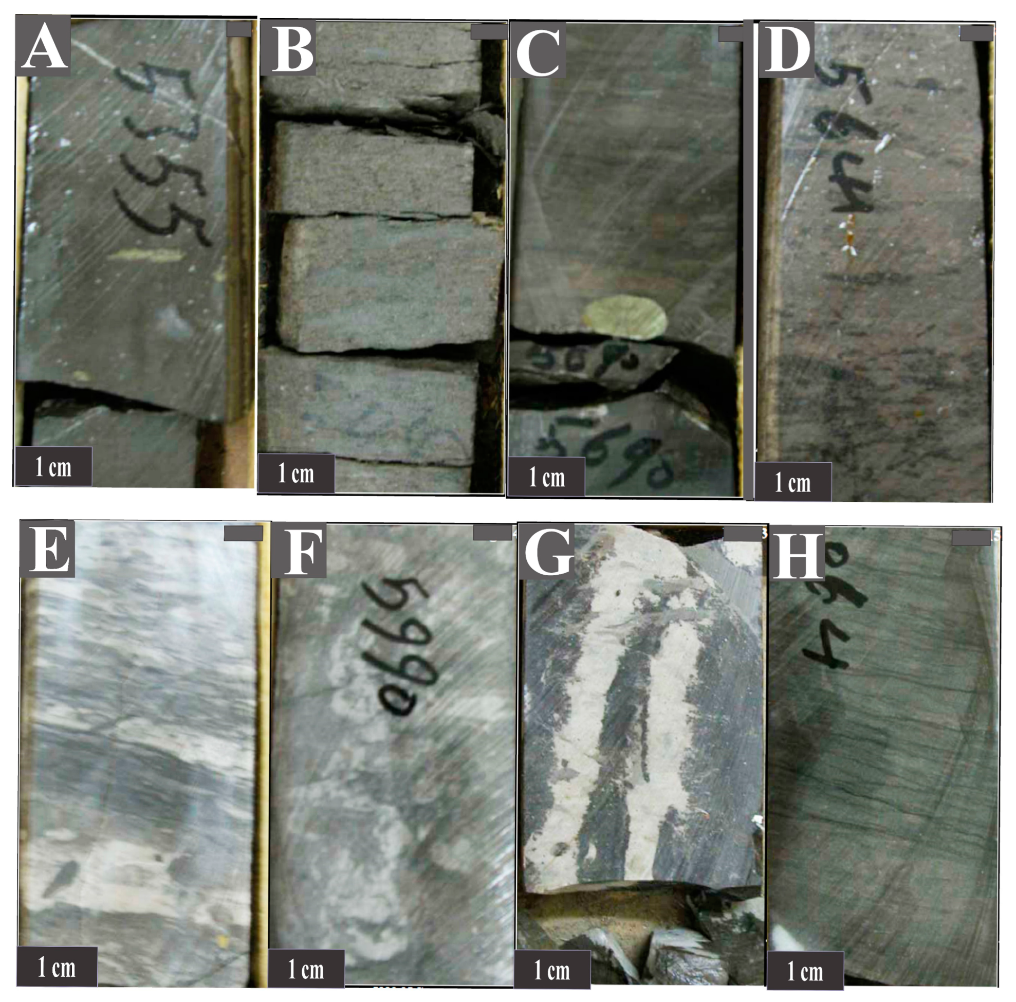 Minerals 13 00757 g005 Minerals 13 00757 g005