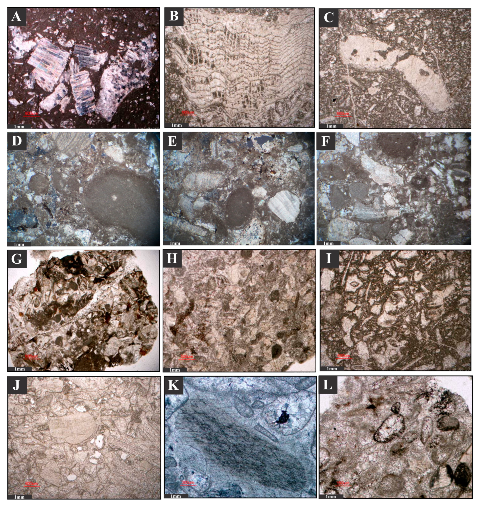 Minerals 13 00757 g006 Minerals 13 00757 g006