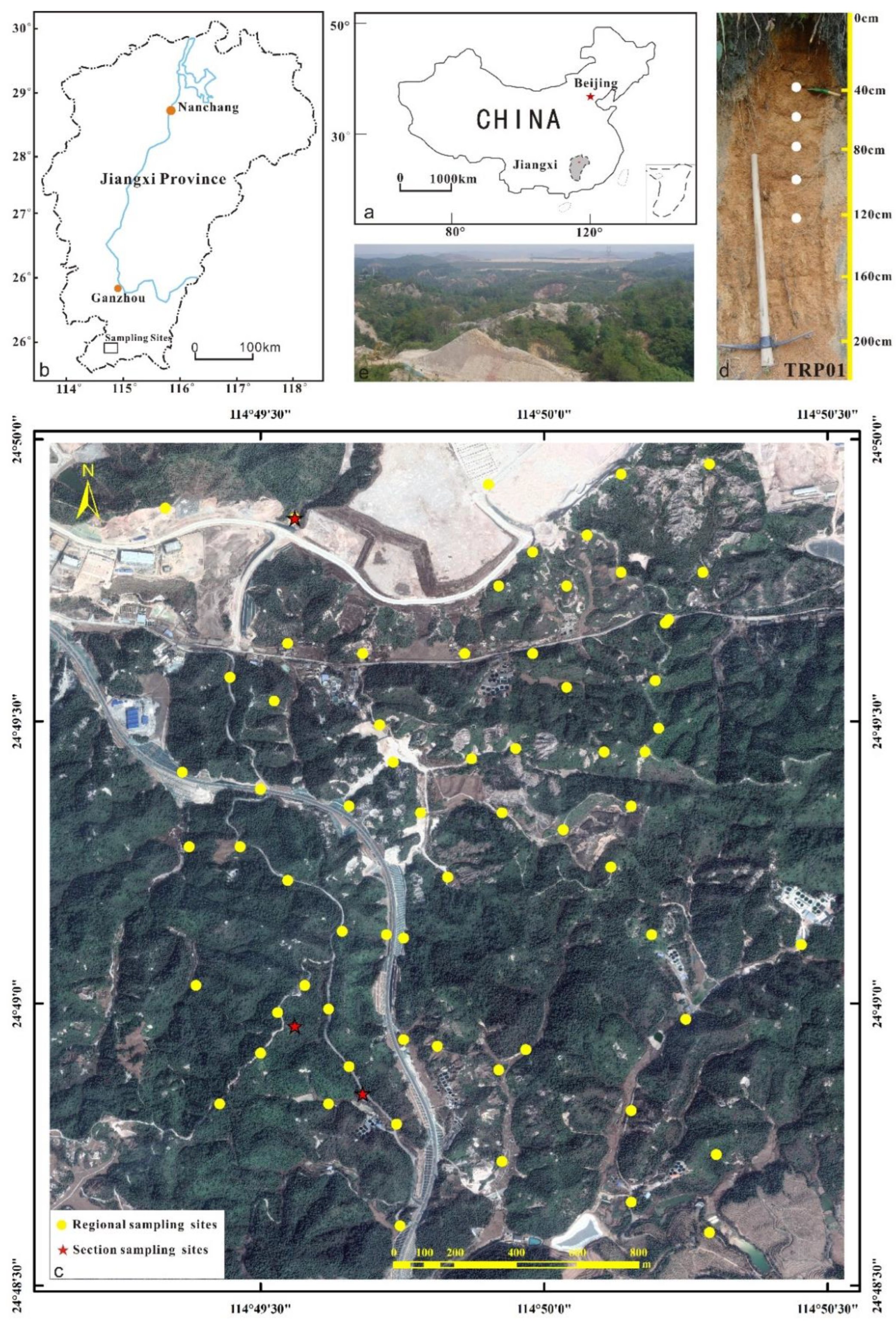 Minerals 13 00784 g001