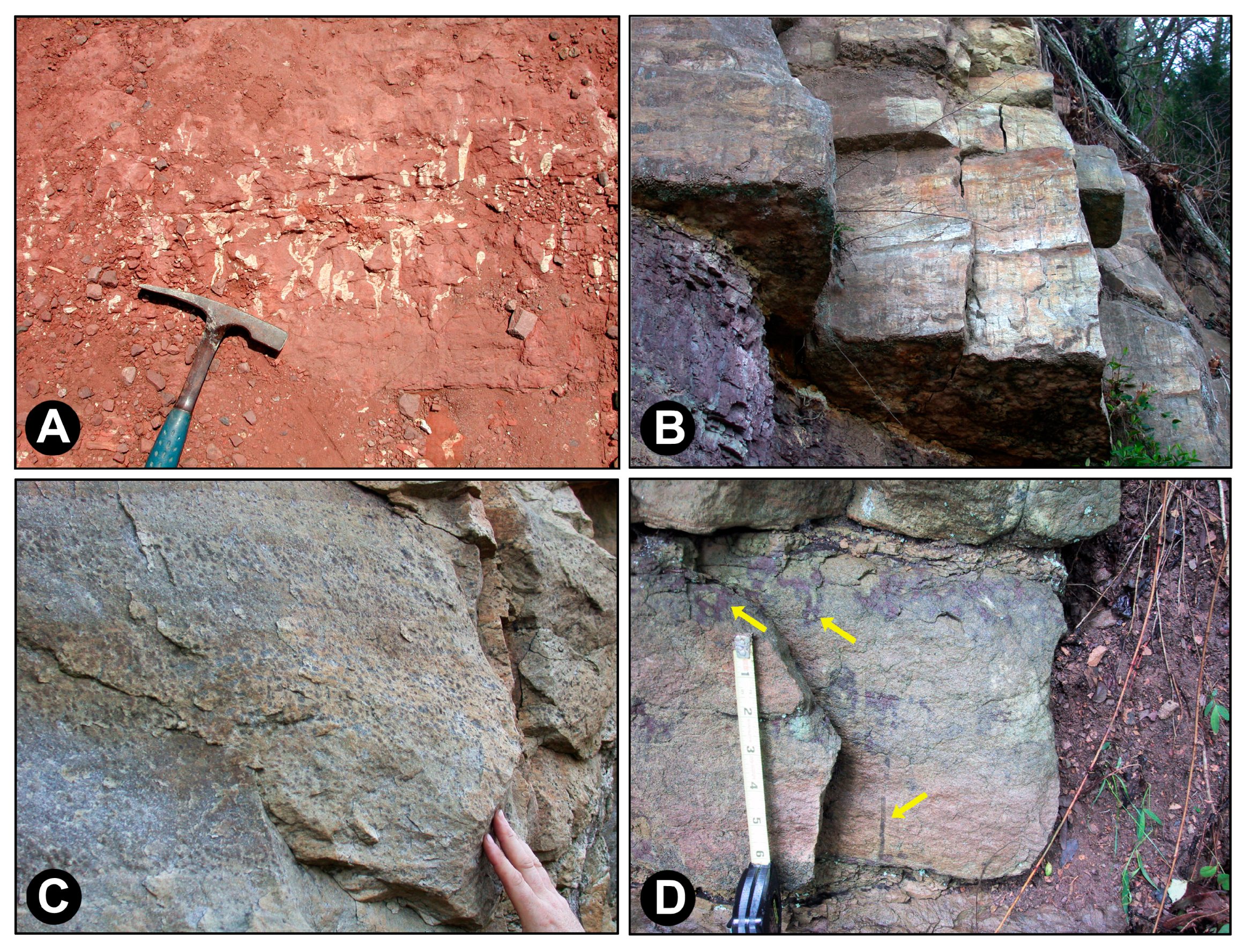 Minerals 13 00807 g007 Minerals 13 00807 g007