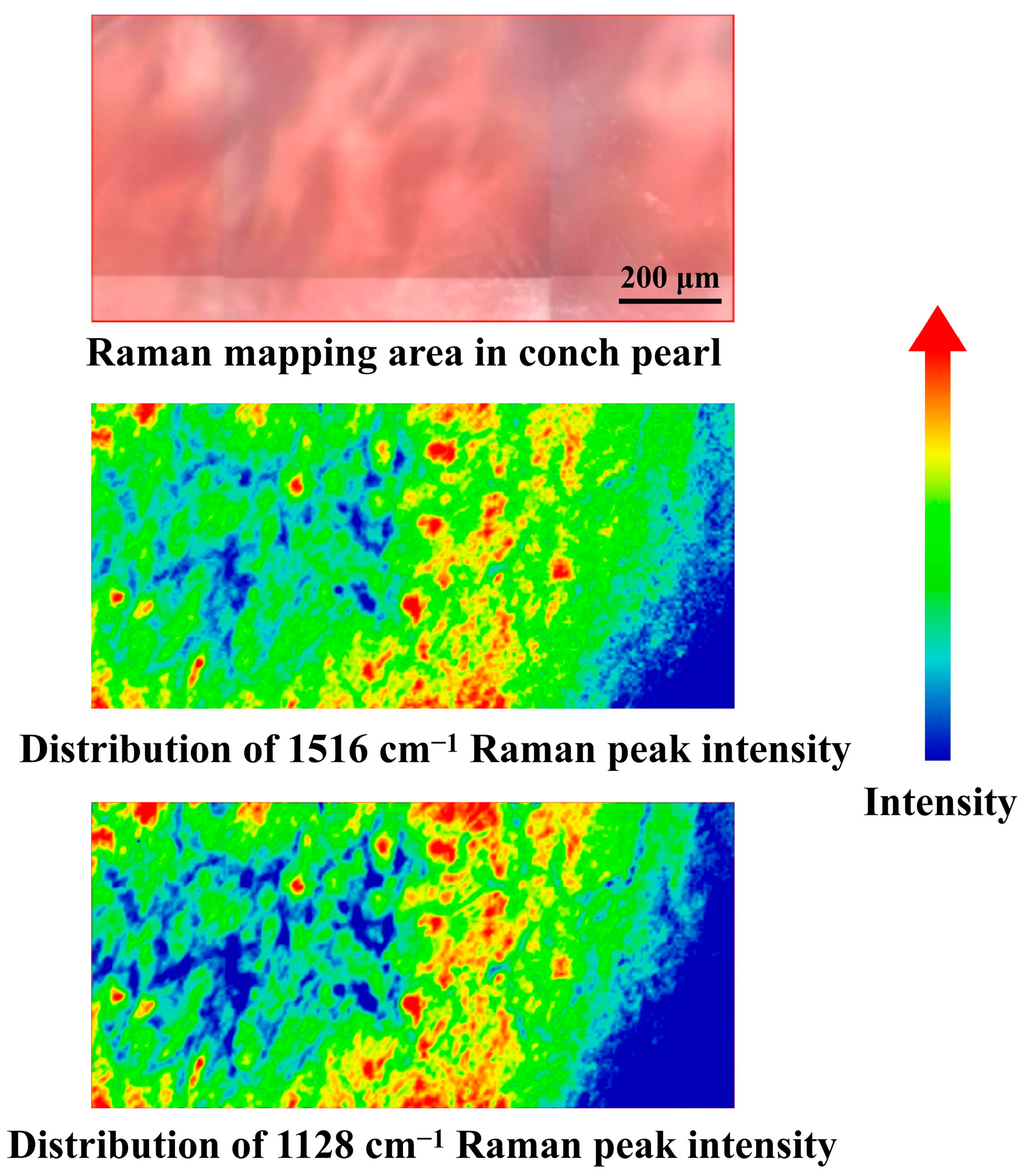 Minerals 13 00811 g003