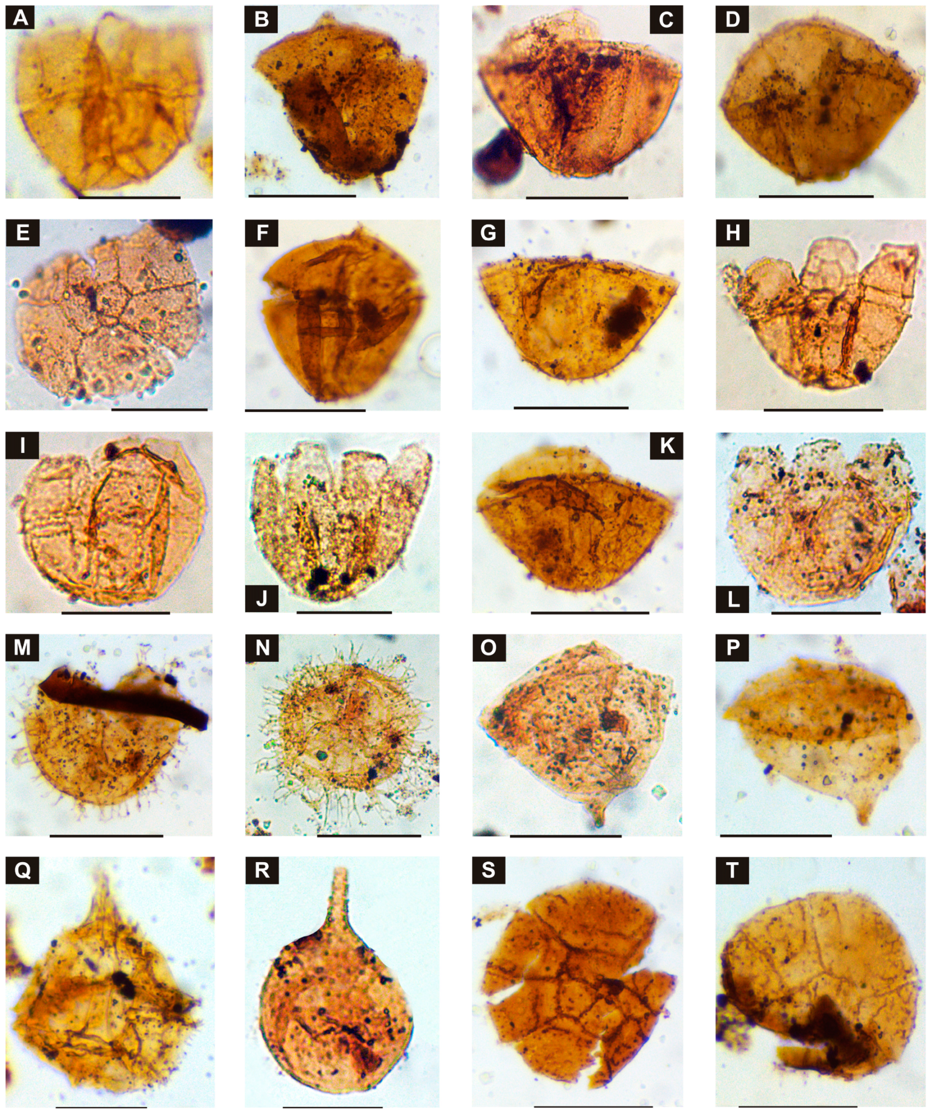 Minerals 13 00827 g003 Minerals 13 00827 g003