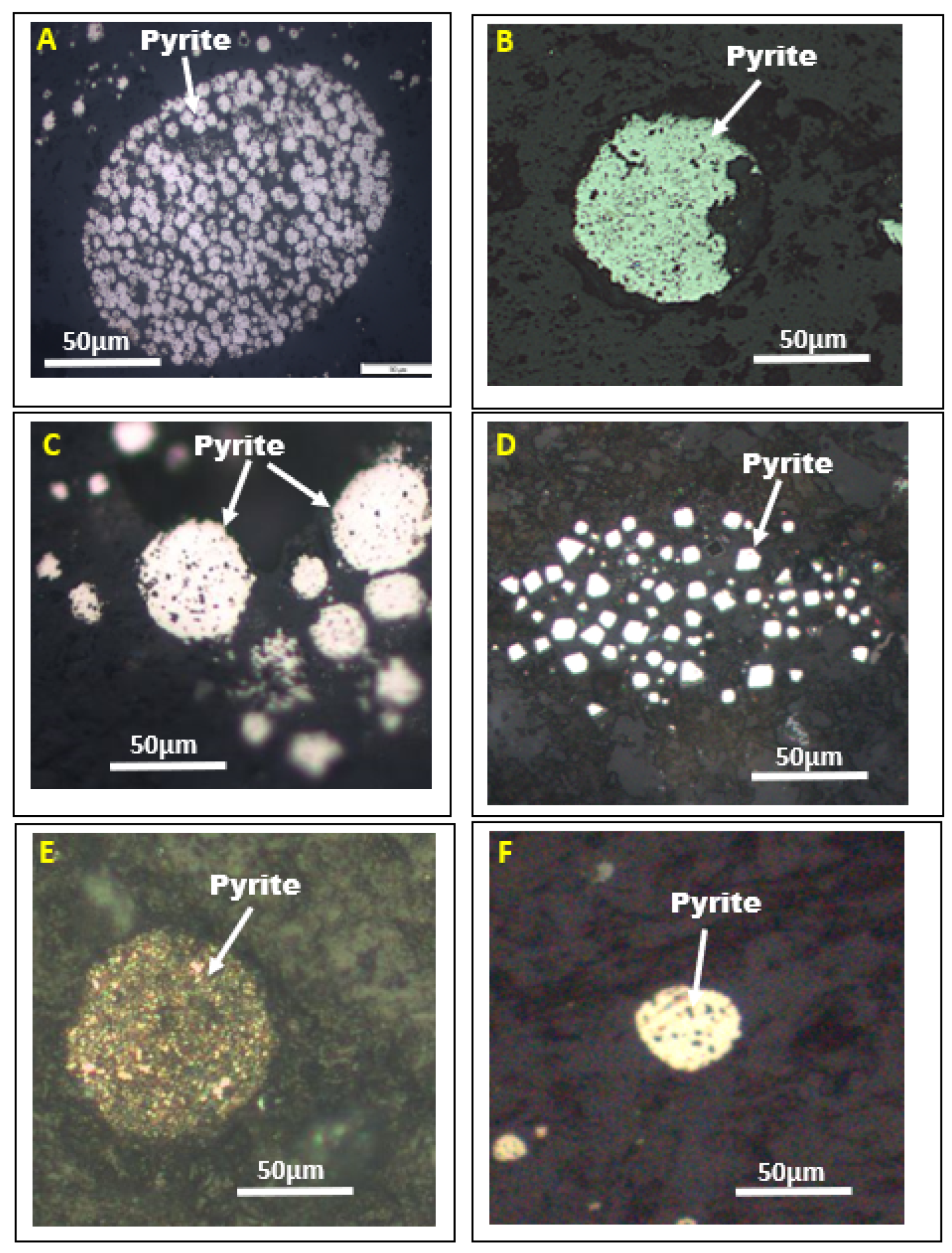Minerals 13 00829 g003 Minerals 13 00829 g003